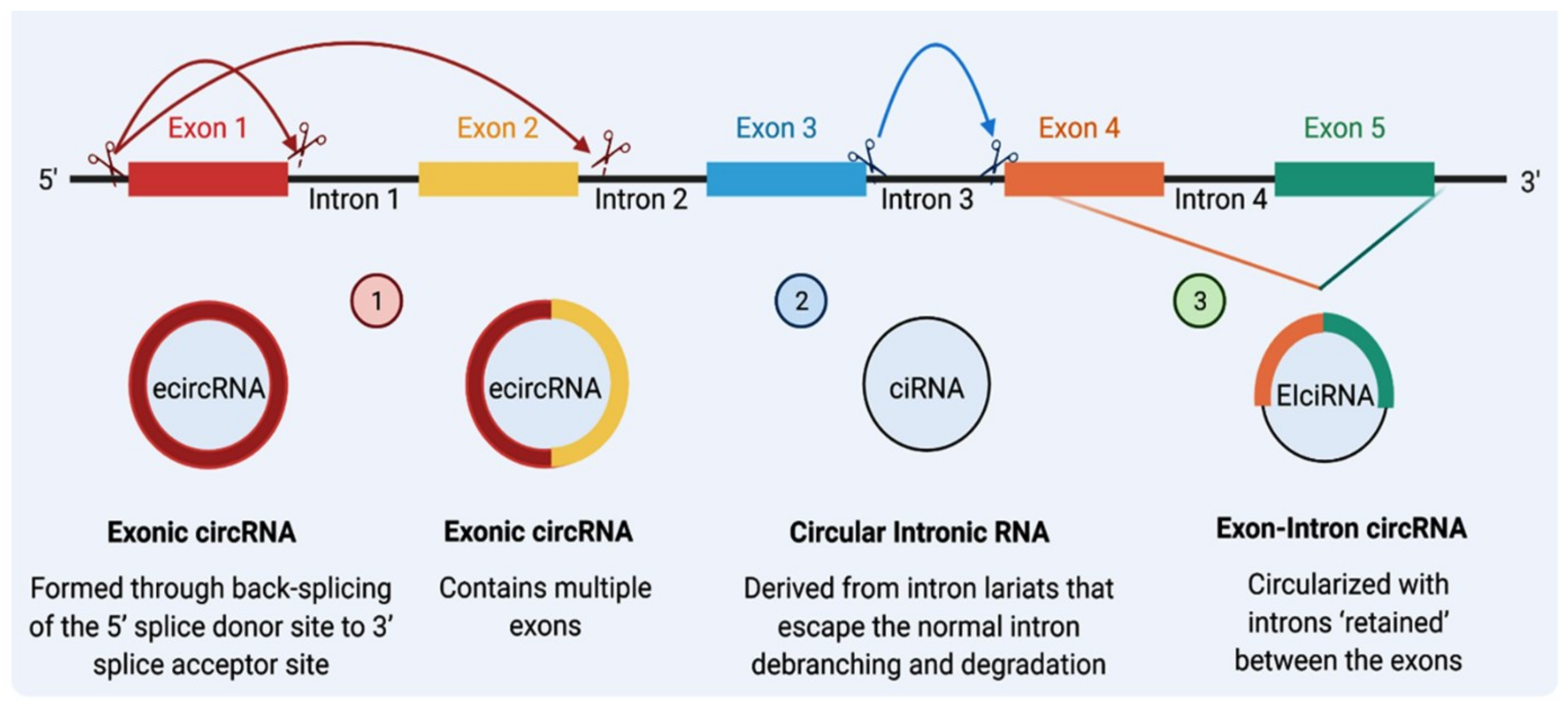 Cancers 14 04728 g001