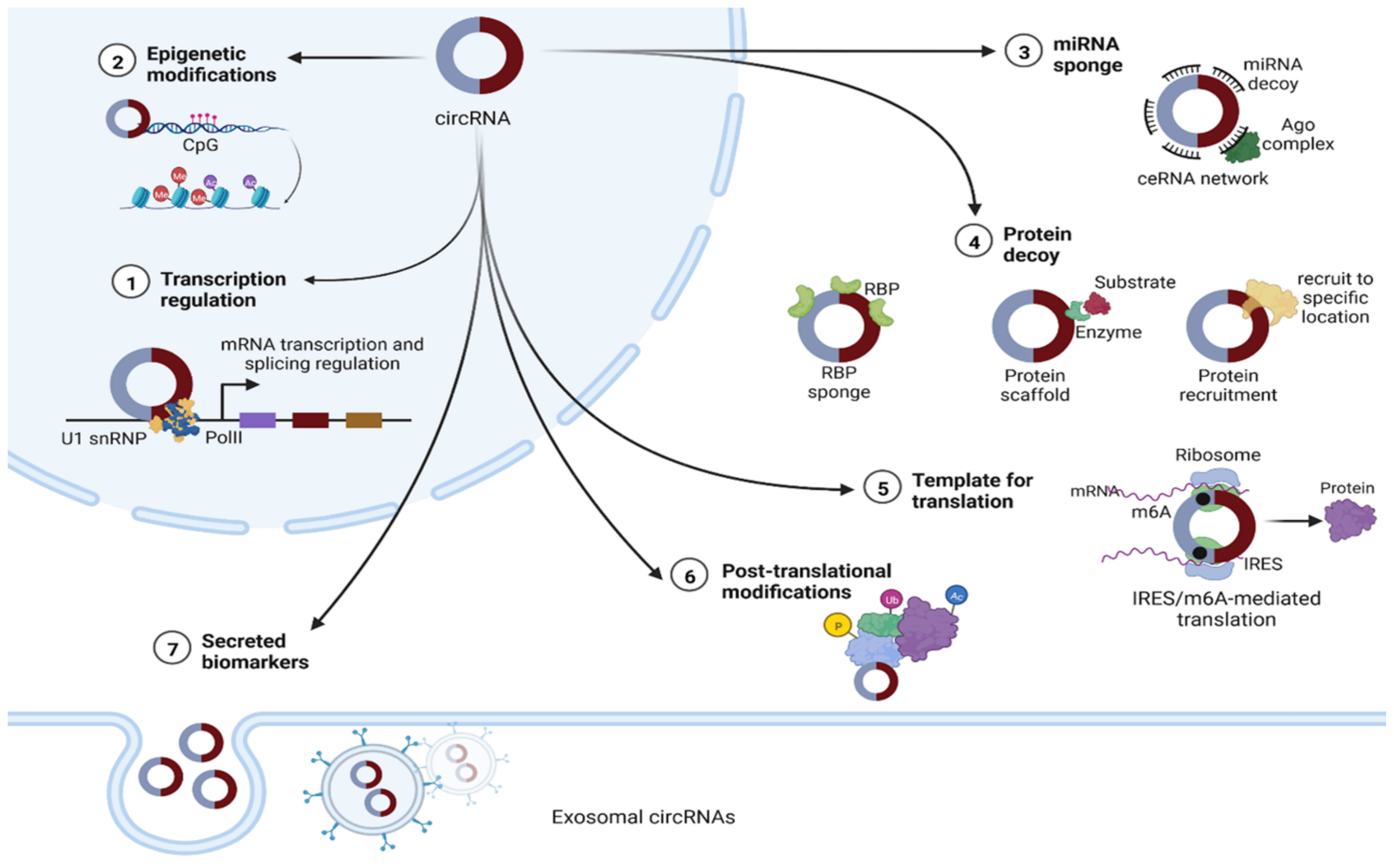 Cancers 14 04728 g002