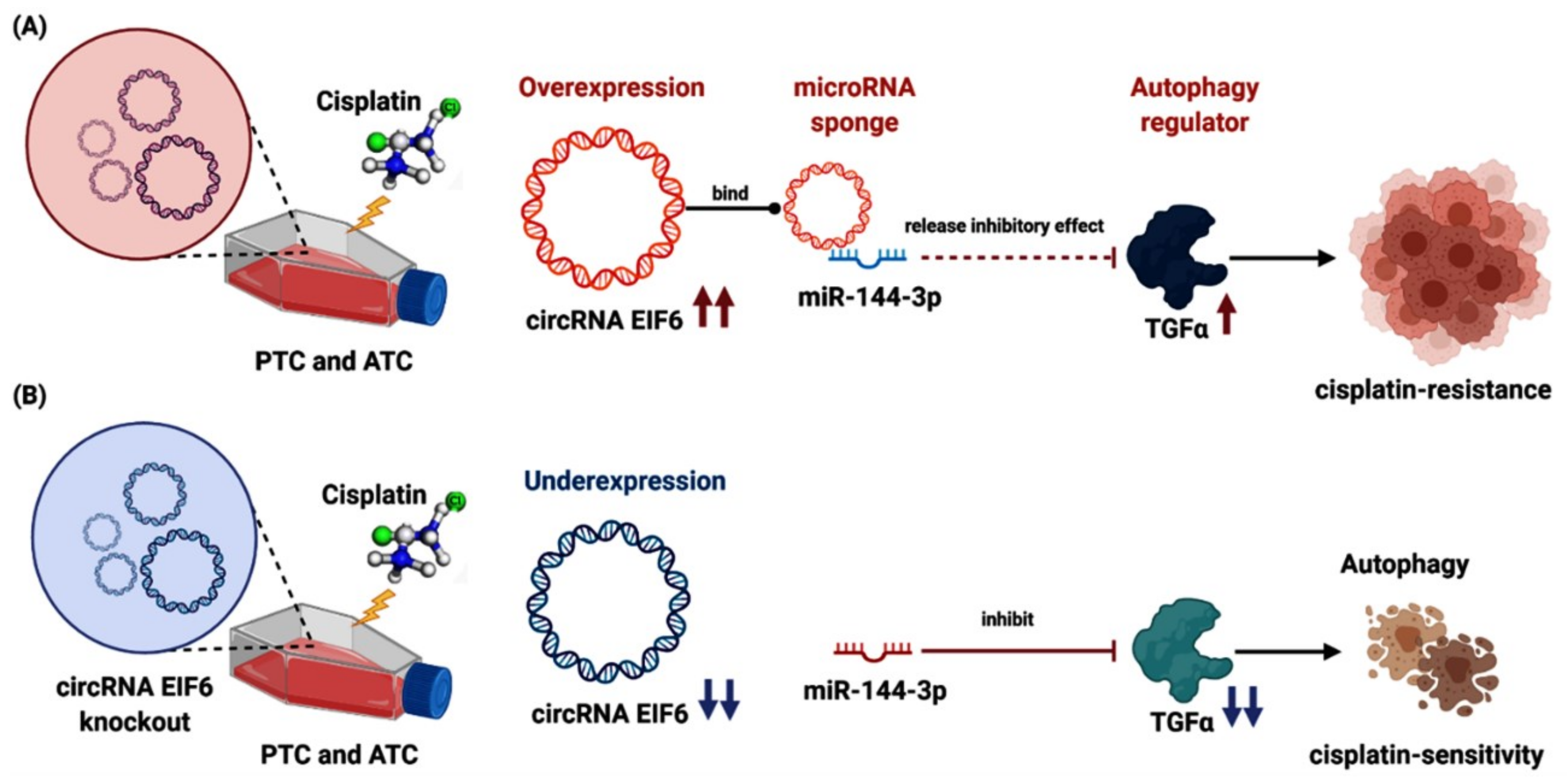 Cancers 14 04728 g005