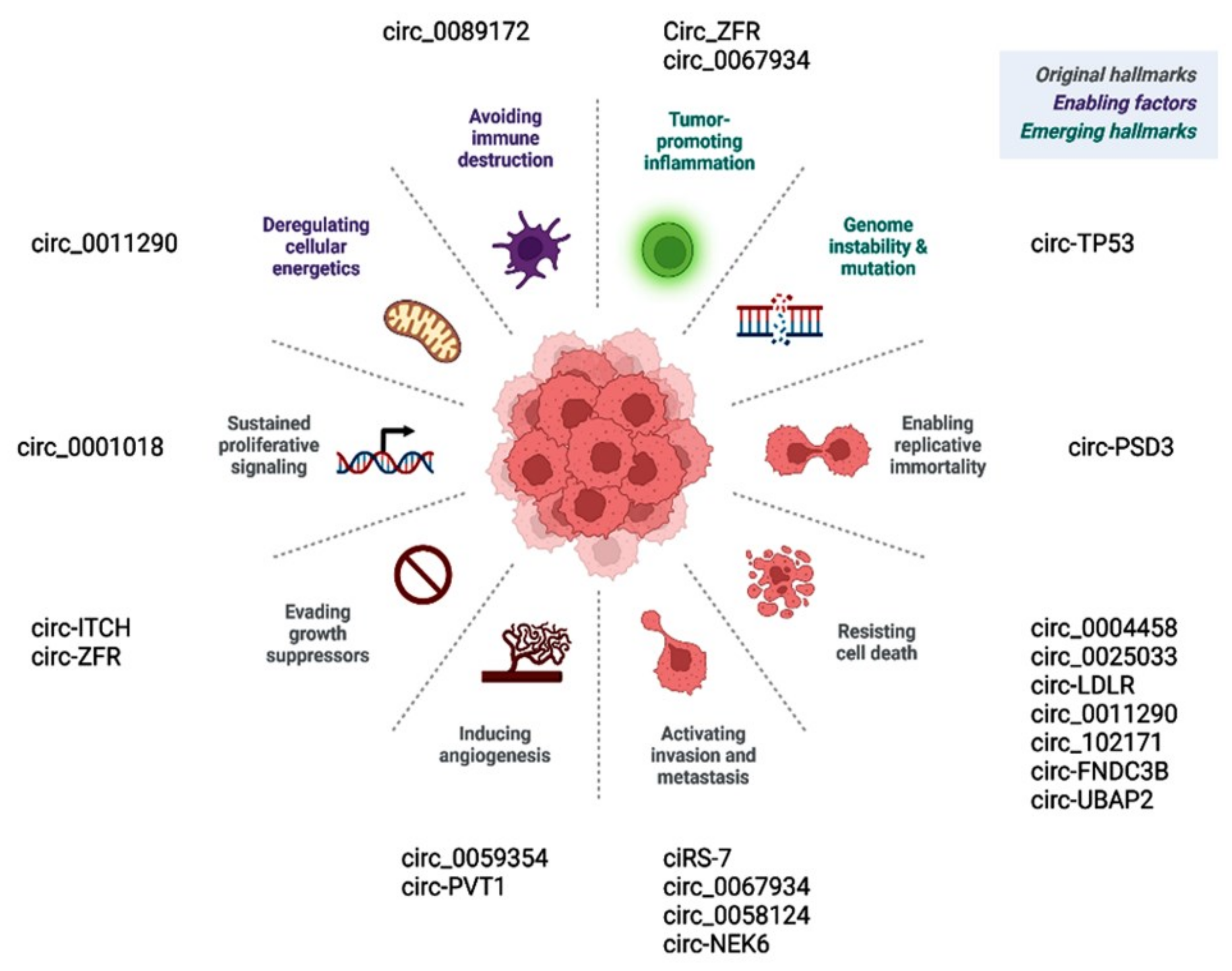 Cancers 14 04728 g006