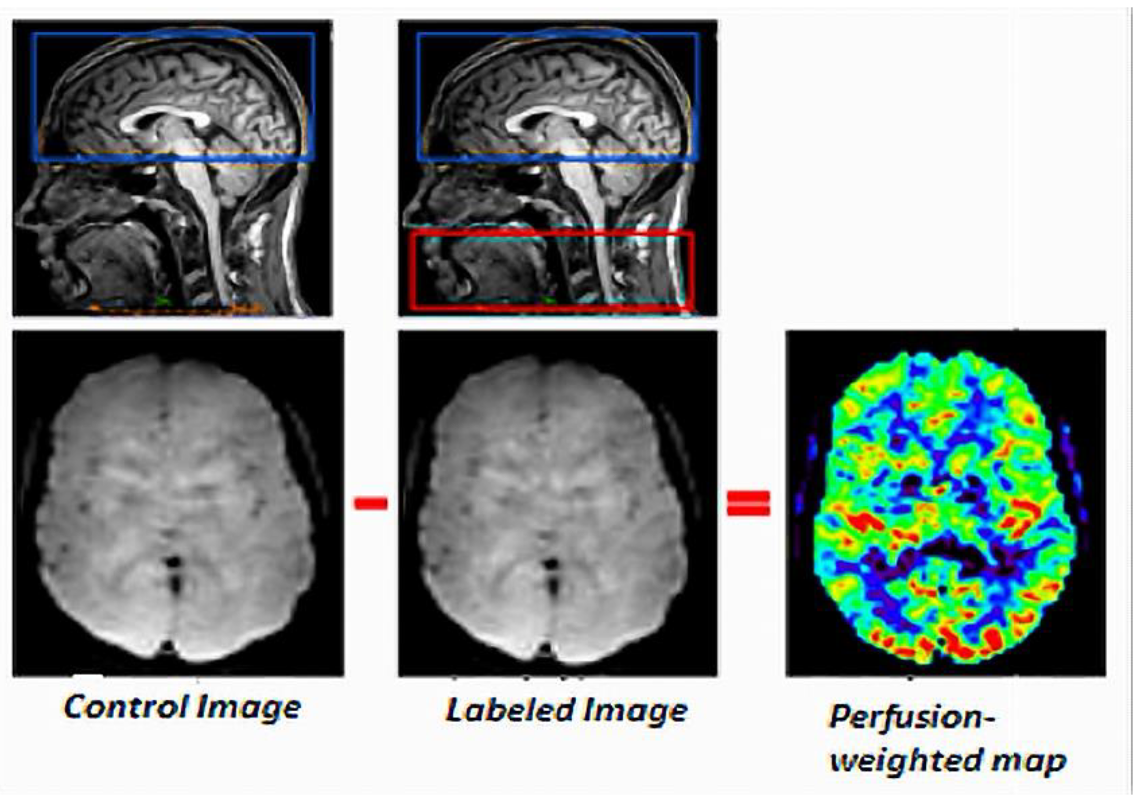 Cancers 14 04734 g001 Cancers 14 04734 g001