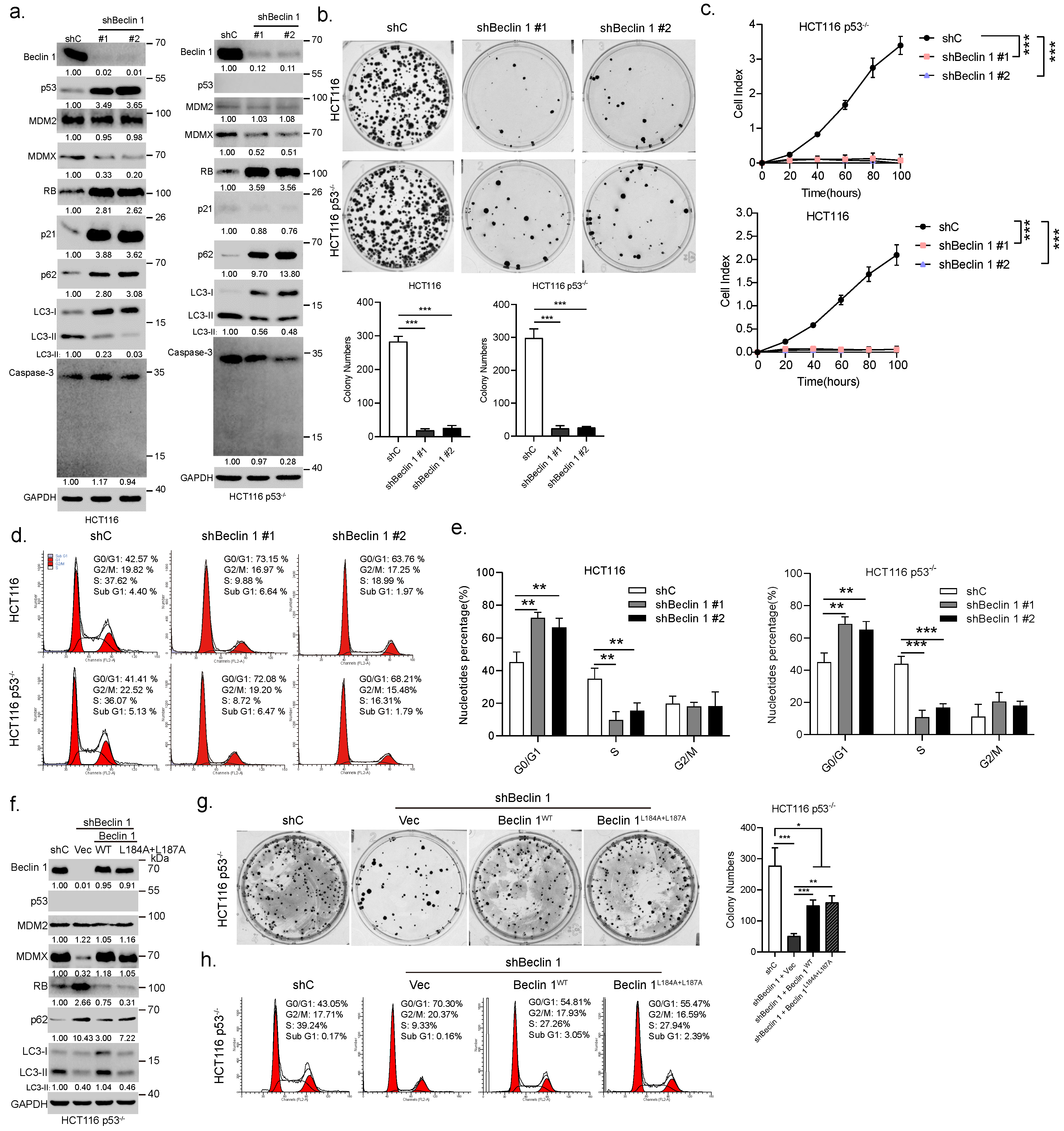 Cancers 14 04735 g002 Cancers 14 04735 g002