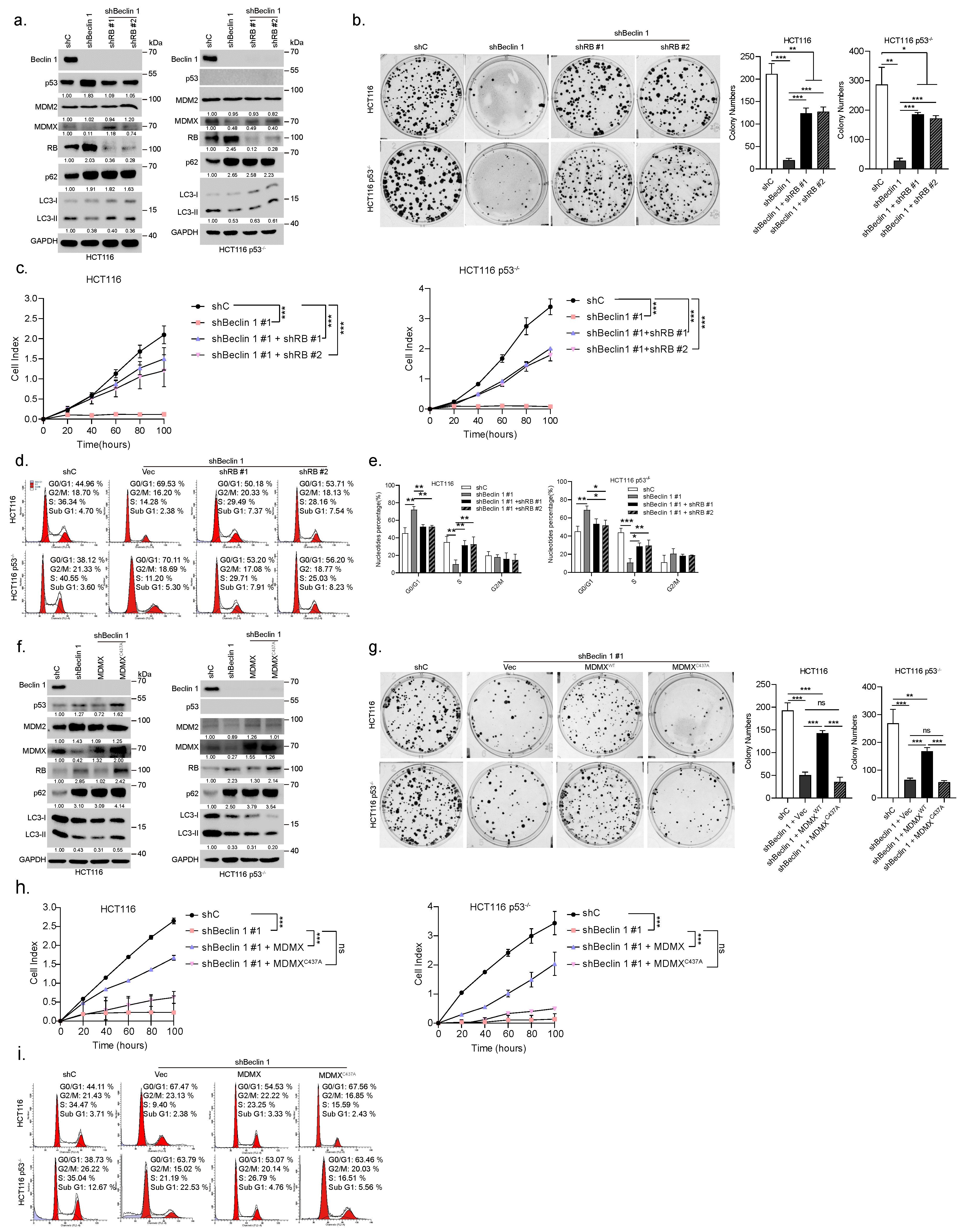 Cancers 14 04735 g003 Cancers 14 04735 g003