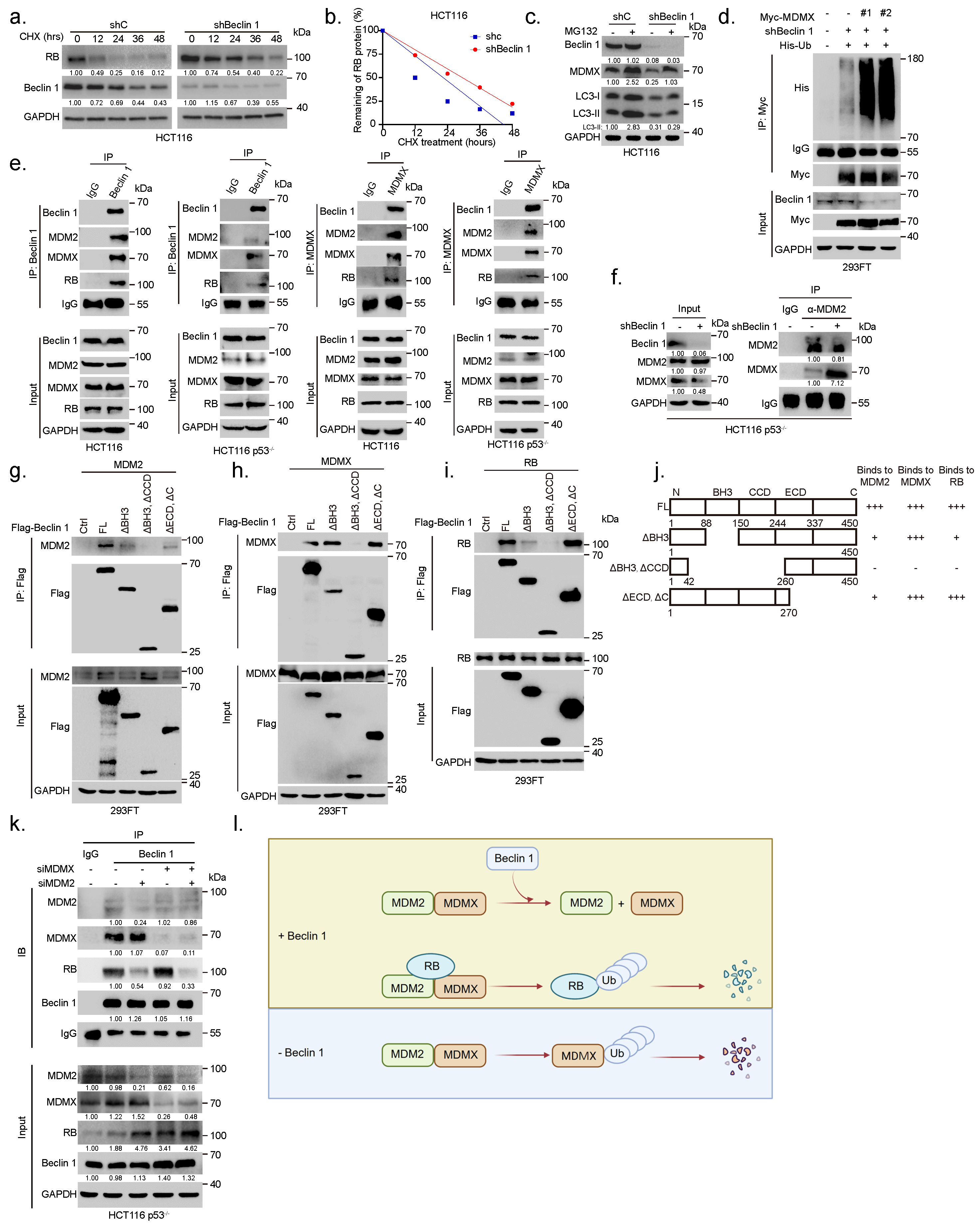 Cancers 14 04735 g004 Cancers 14 04735 g004