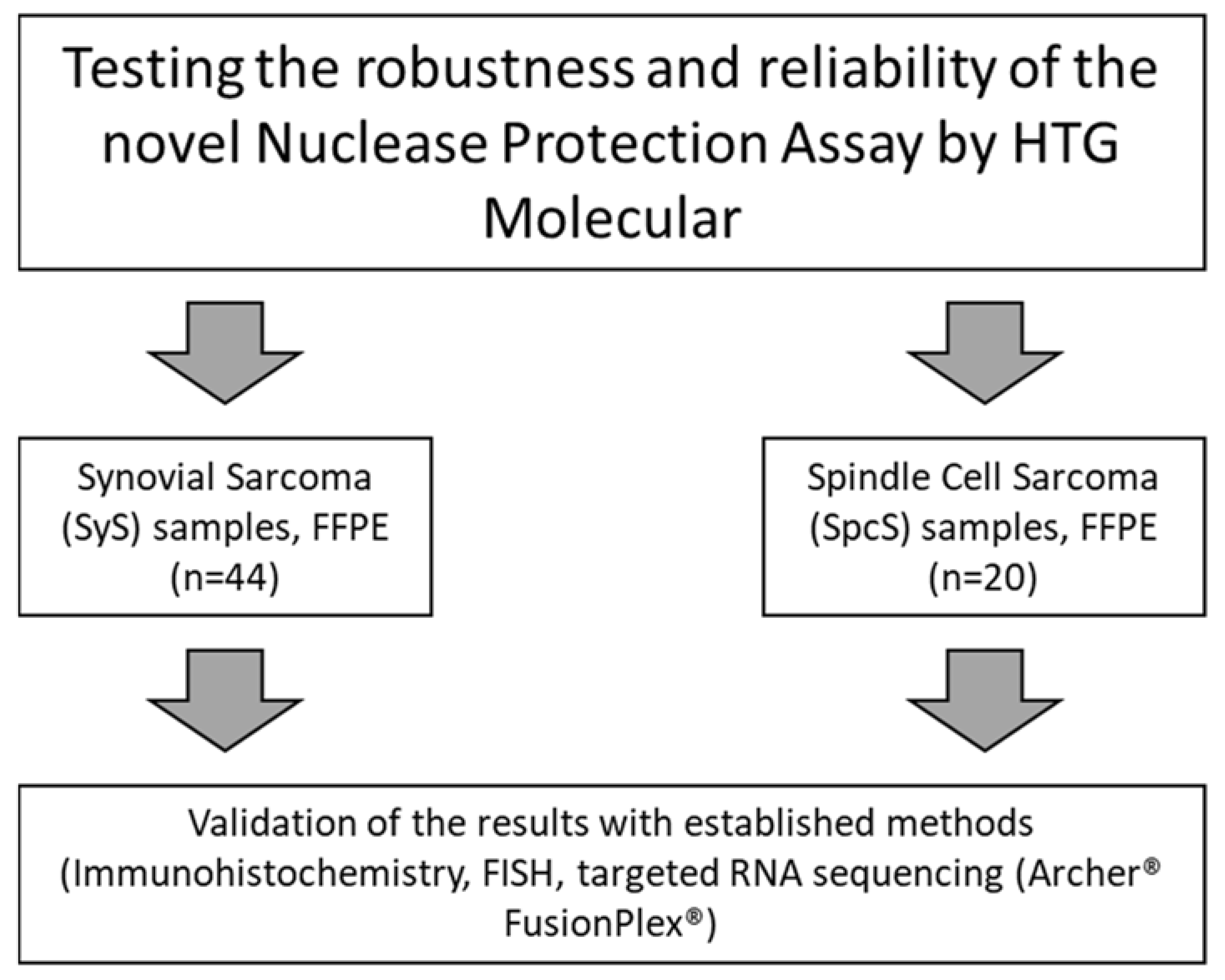 Cancers 14 04737 g001 Cancers 14 04737 g001