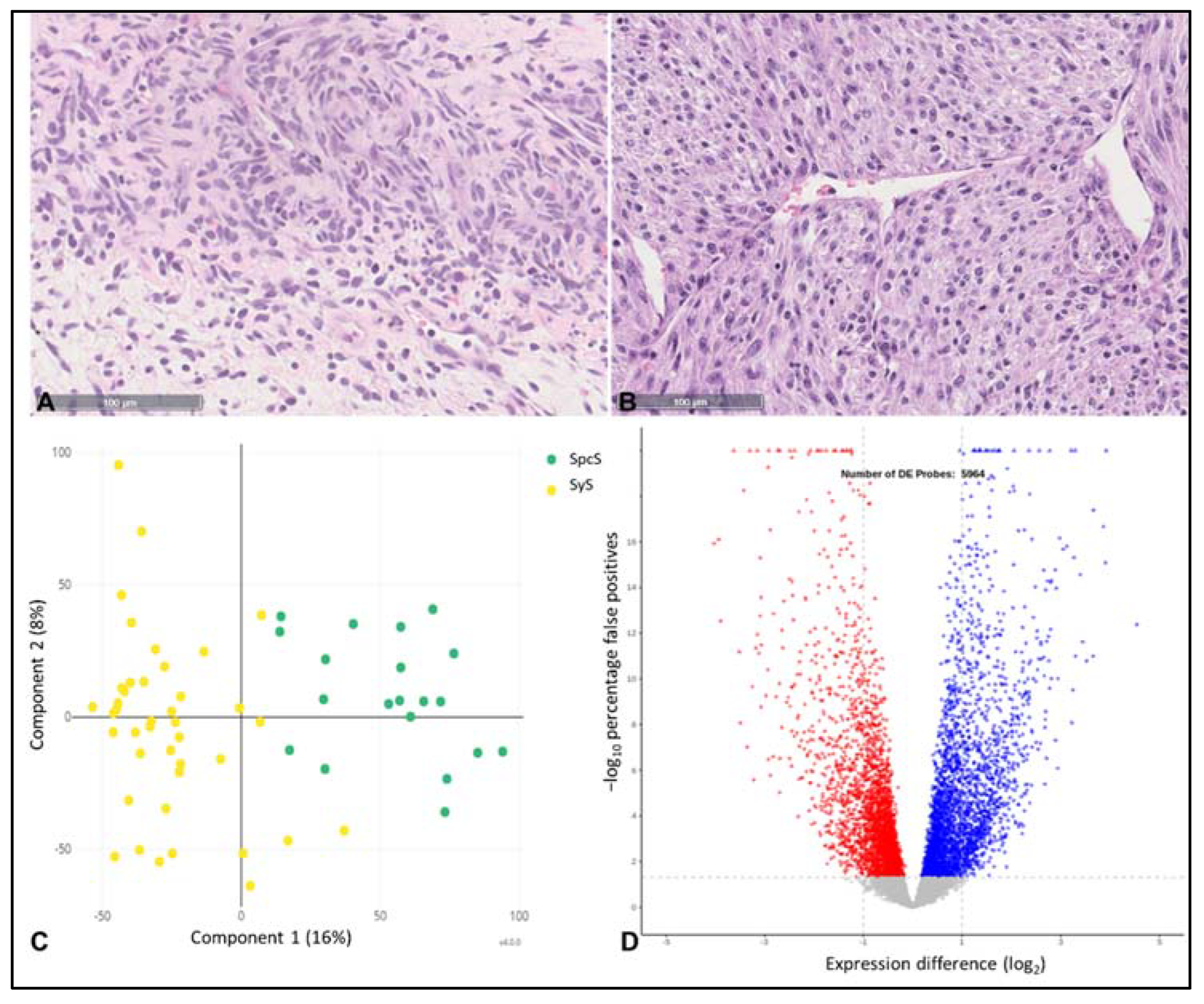 Cancers 14 04737 g003 Cancers 14 04737 g003
