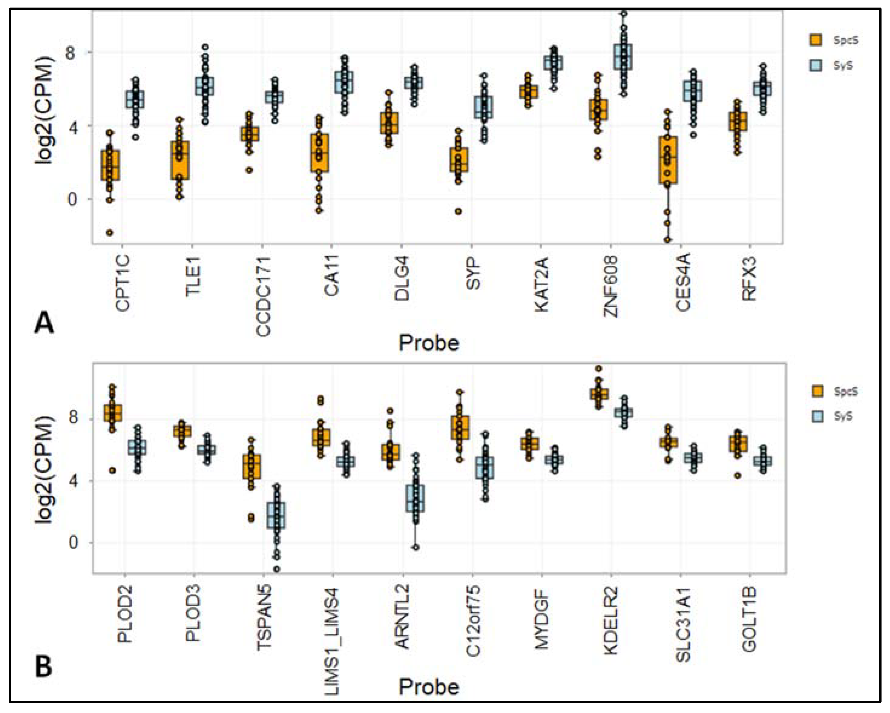 Cancers 14 04737 g004 Cancers 14 04737 g004