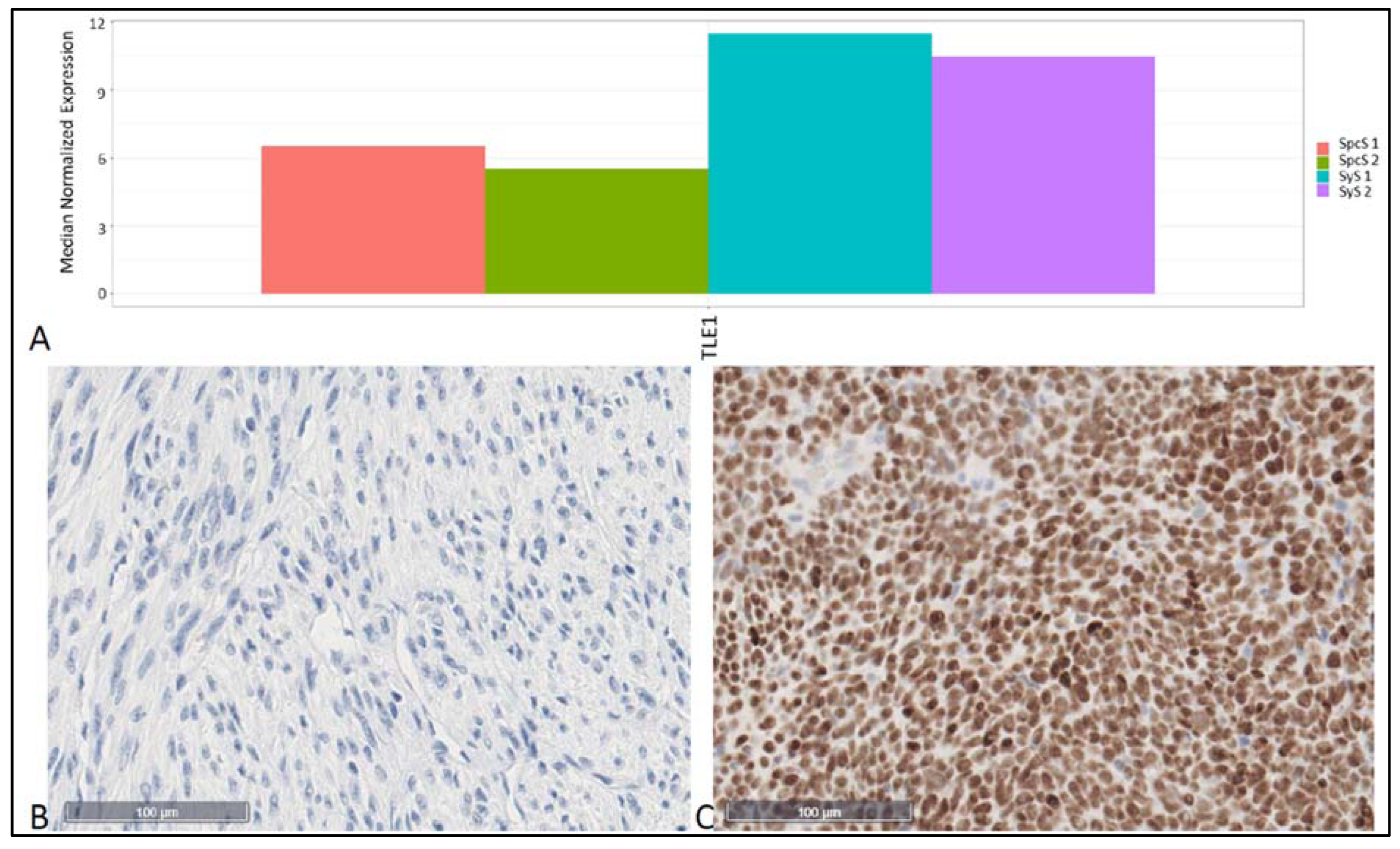 Cancers 14 04737 g005 Cancers 14 04737 g005