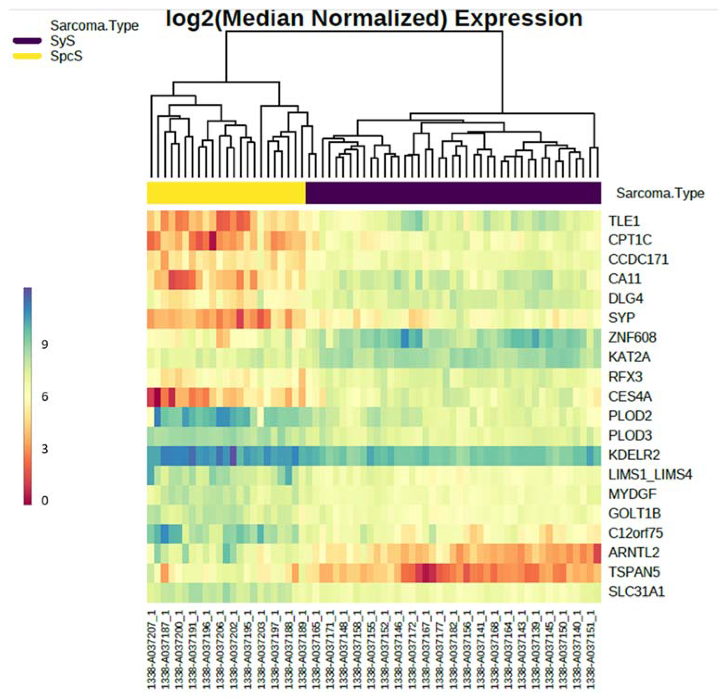 Cancers 14 04737 g006 Cancers 14 04737 g006