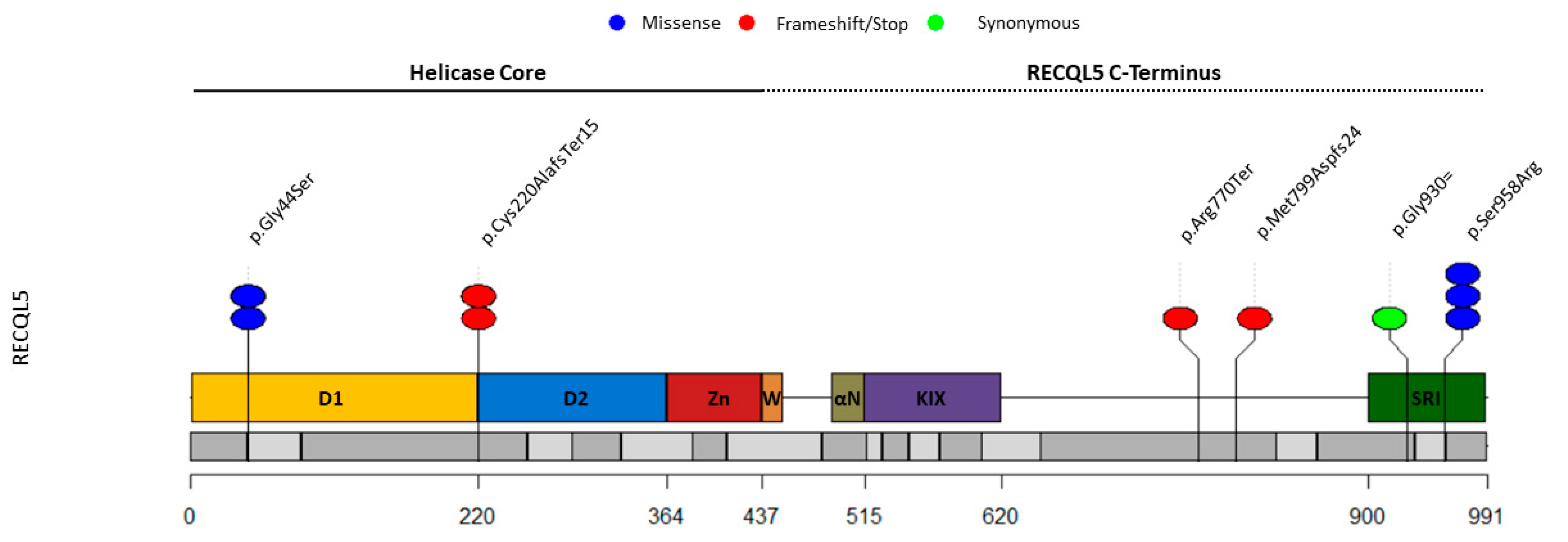 Cancers 14 04738 g001 Cancers 14 04738 g001