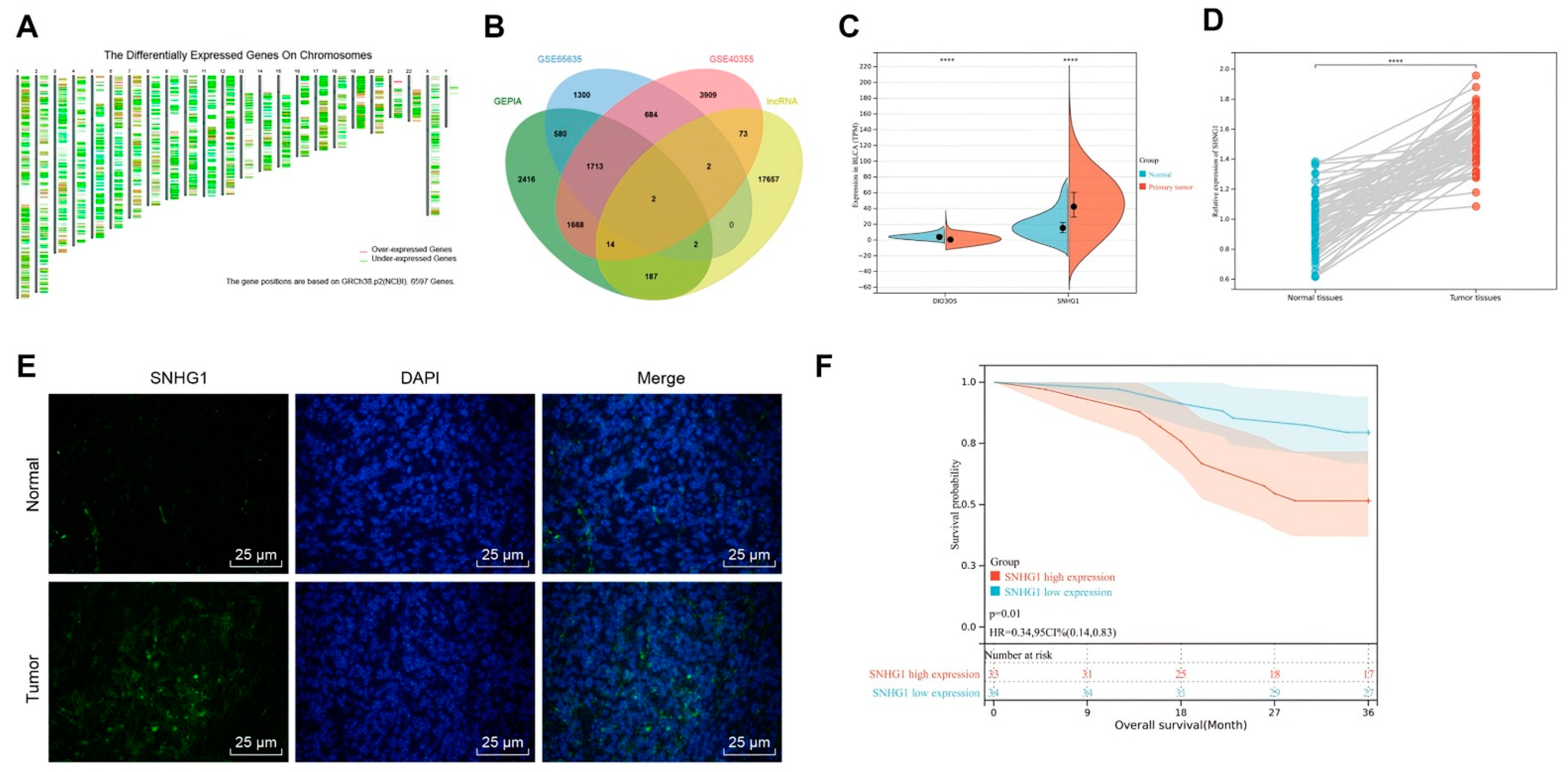 Cancers 14 04740 g001