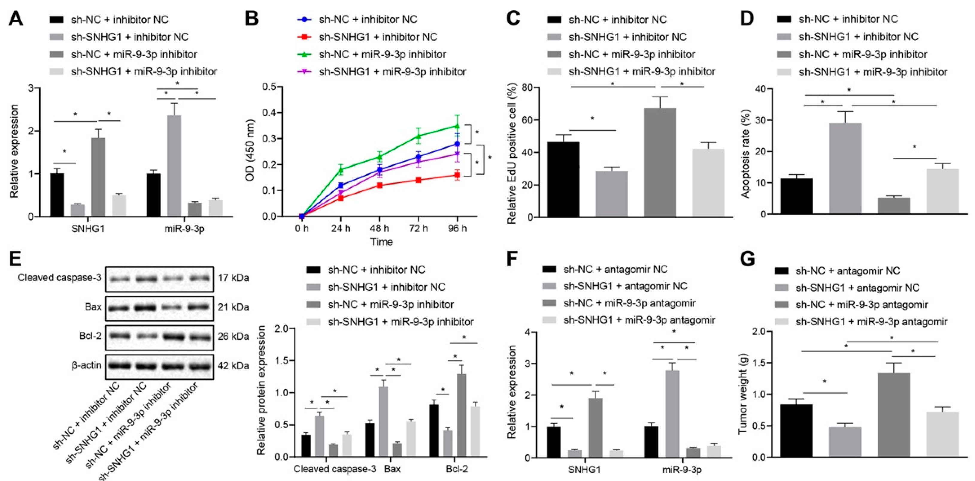 Cancers 14 04740 g006