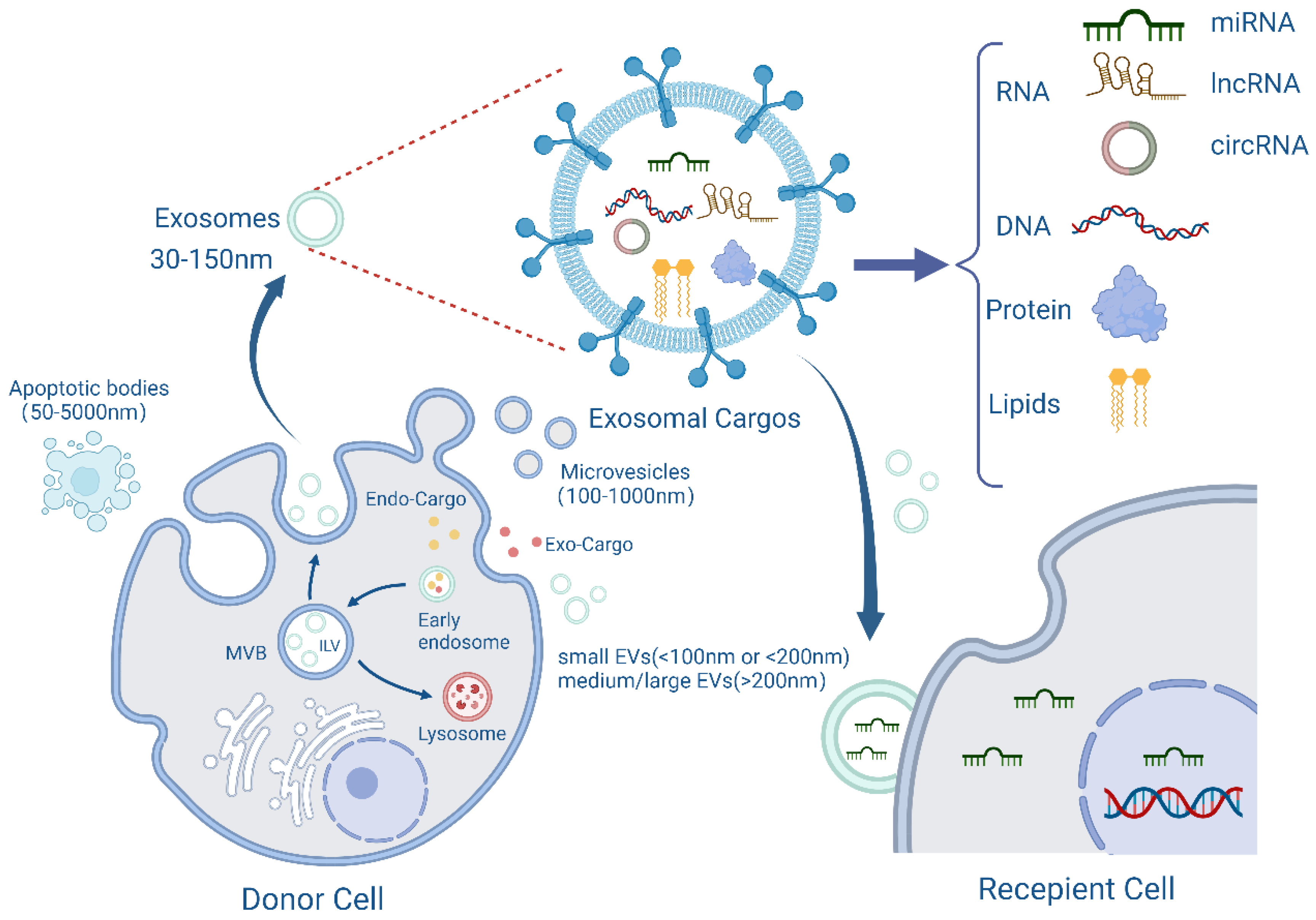 Cancers 14 04743 g001