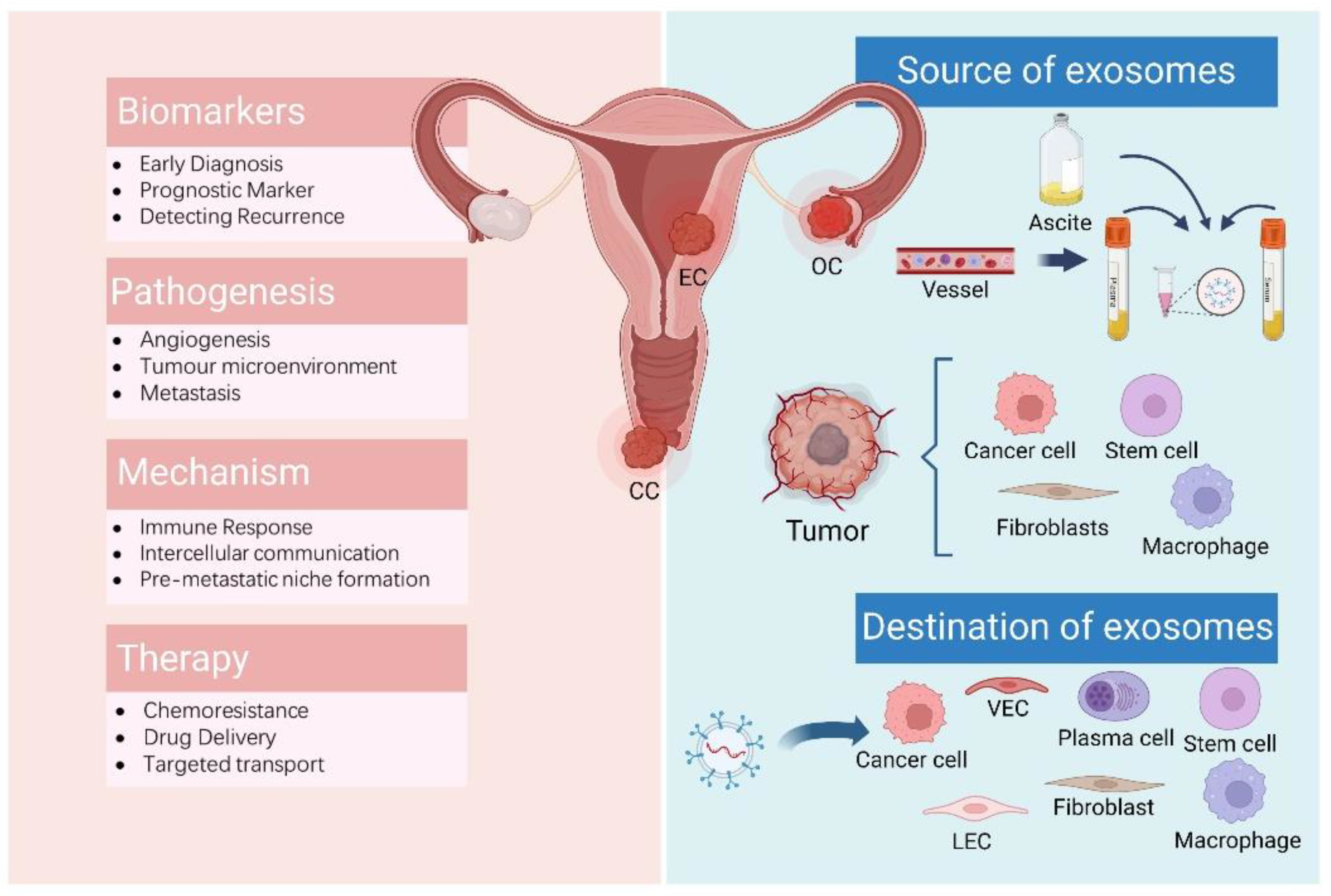 Cancers 14 04743 g002