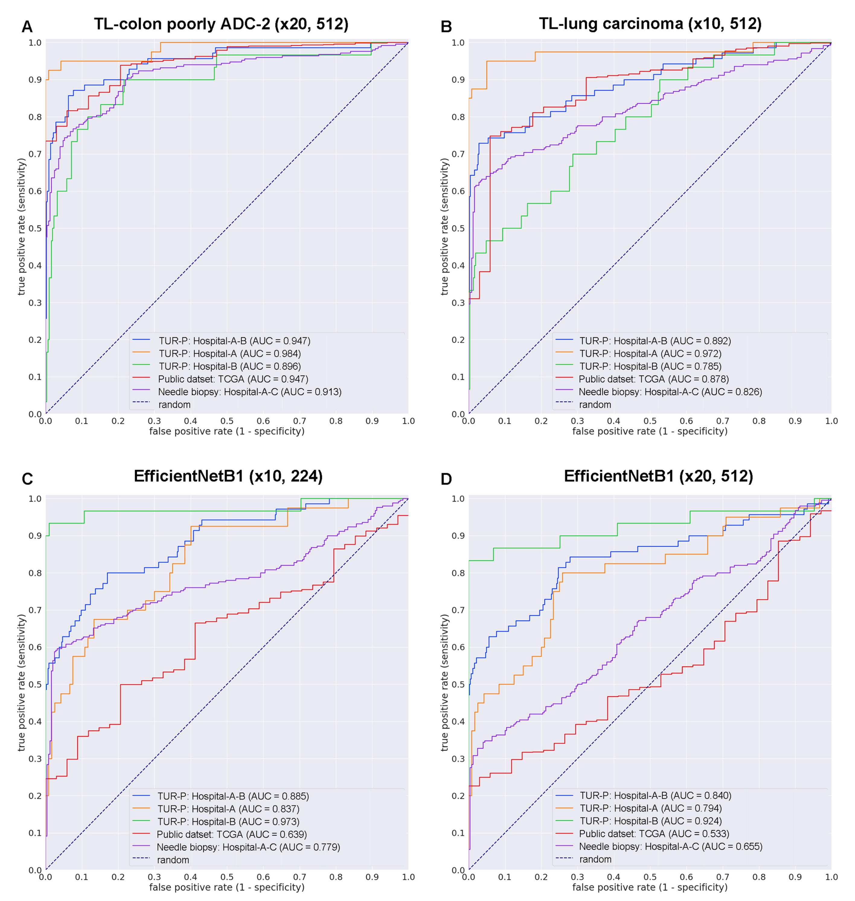 Cancers 14 04744 g002 Cancers 14 04744 g002