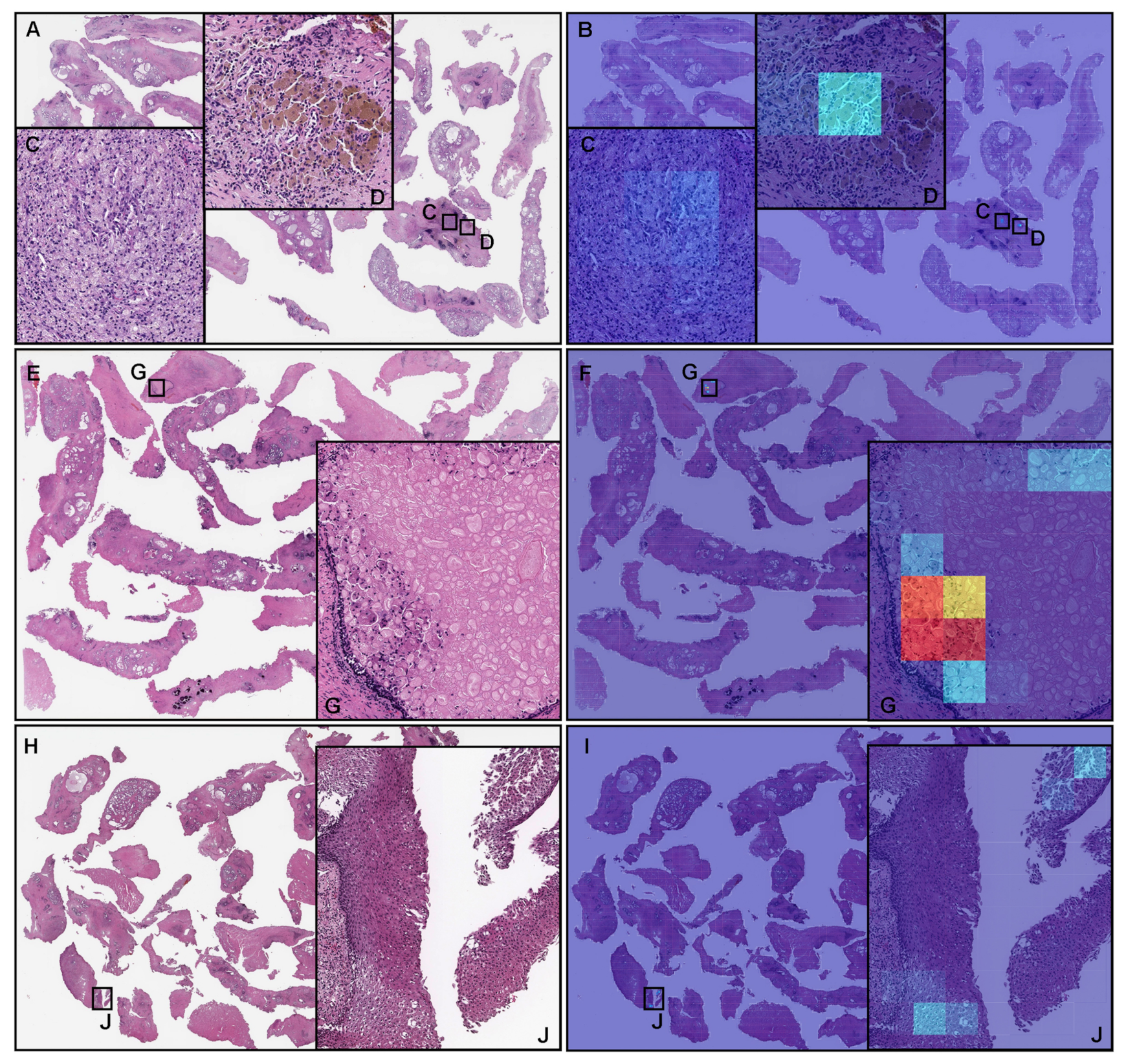 Cancers 14 04744 g007 Cancers 14 04744 g007