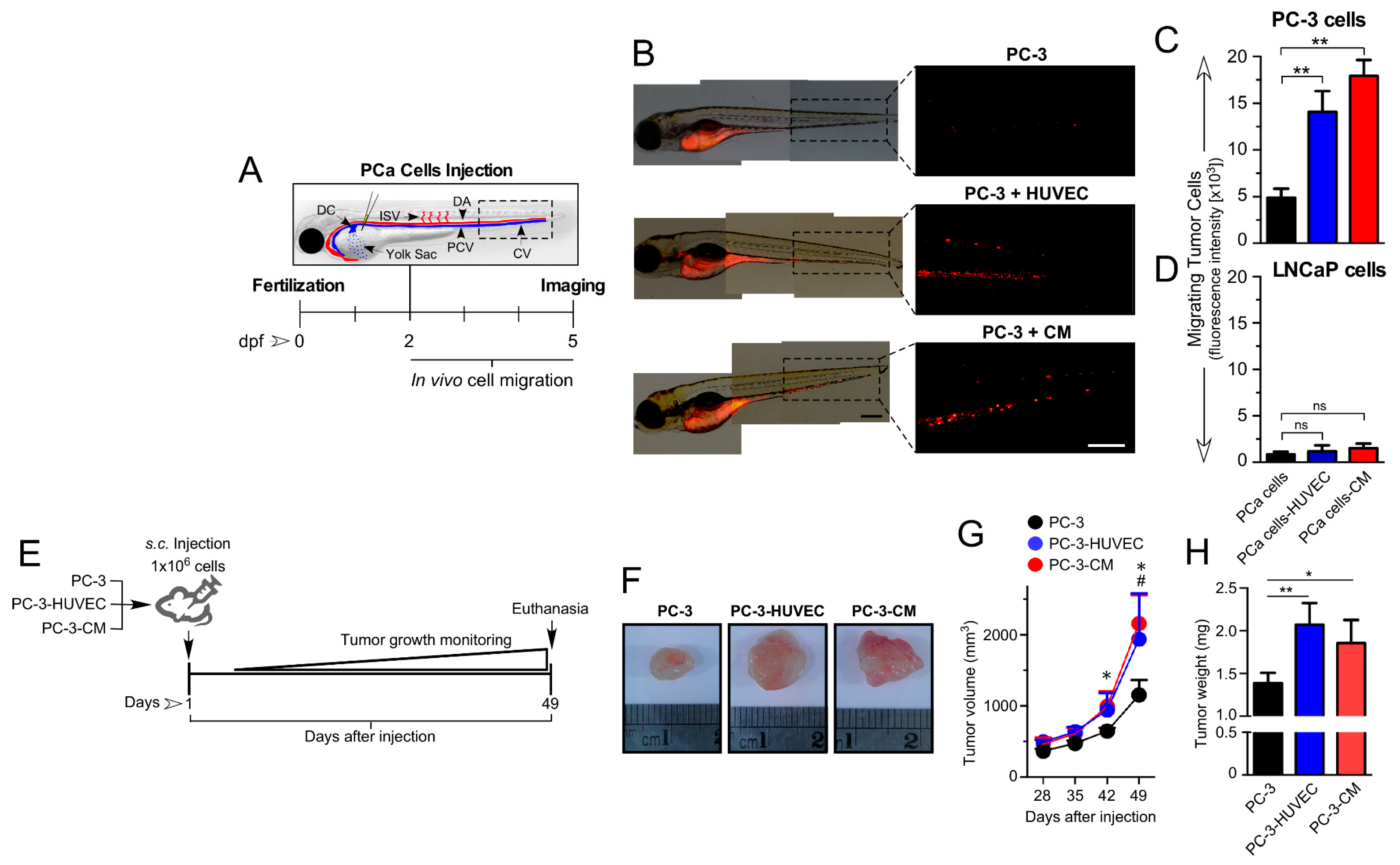 Cancers 14 04750 g002 Cancers 14 04750 g002