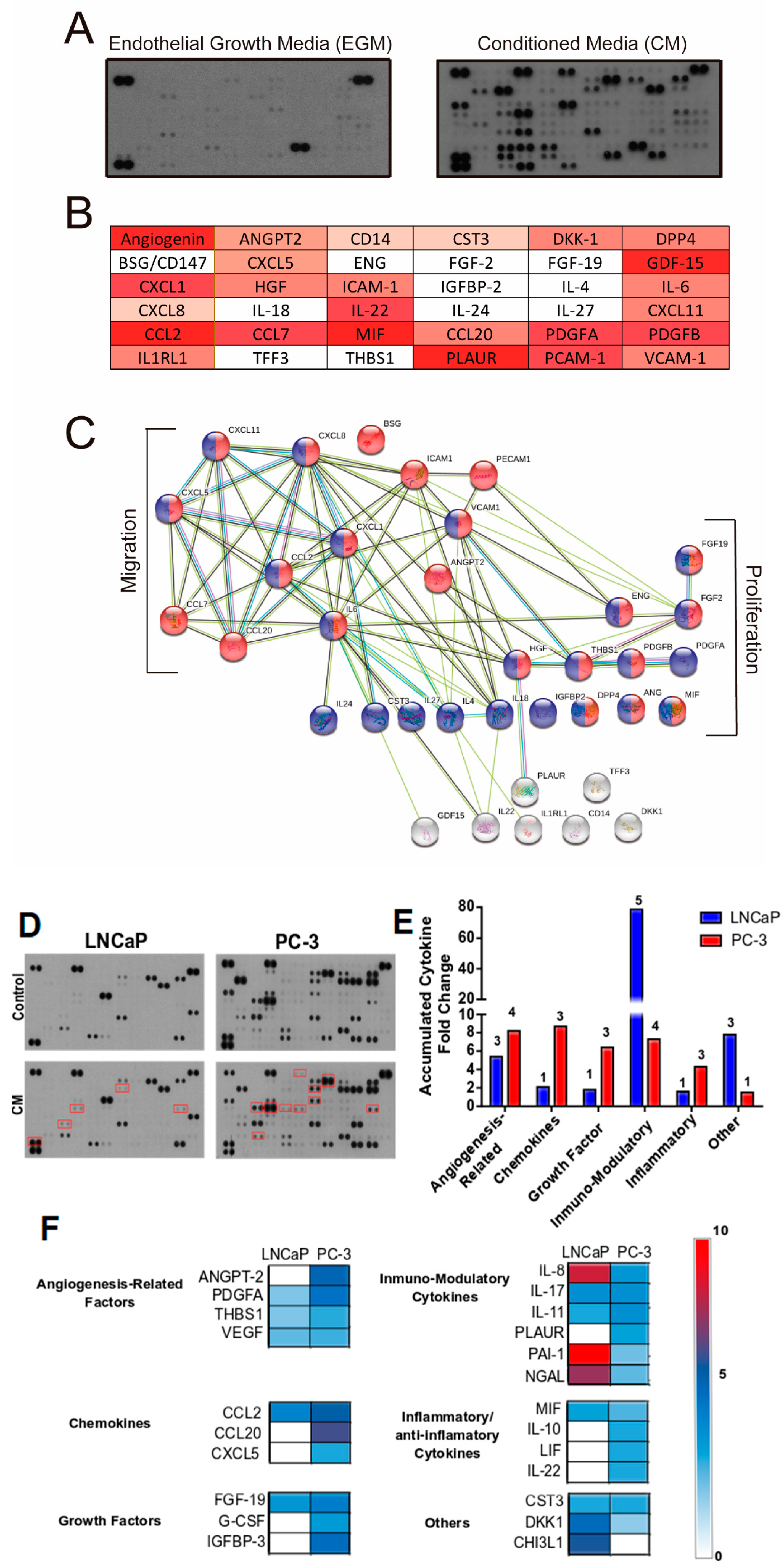 Cancers 14 04750 g005 Cancers 14 04750 g005