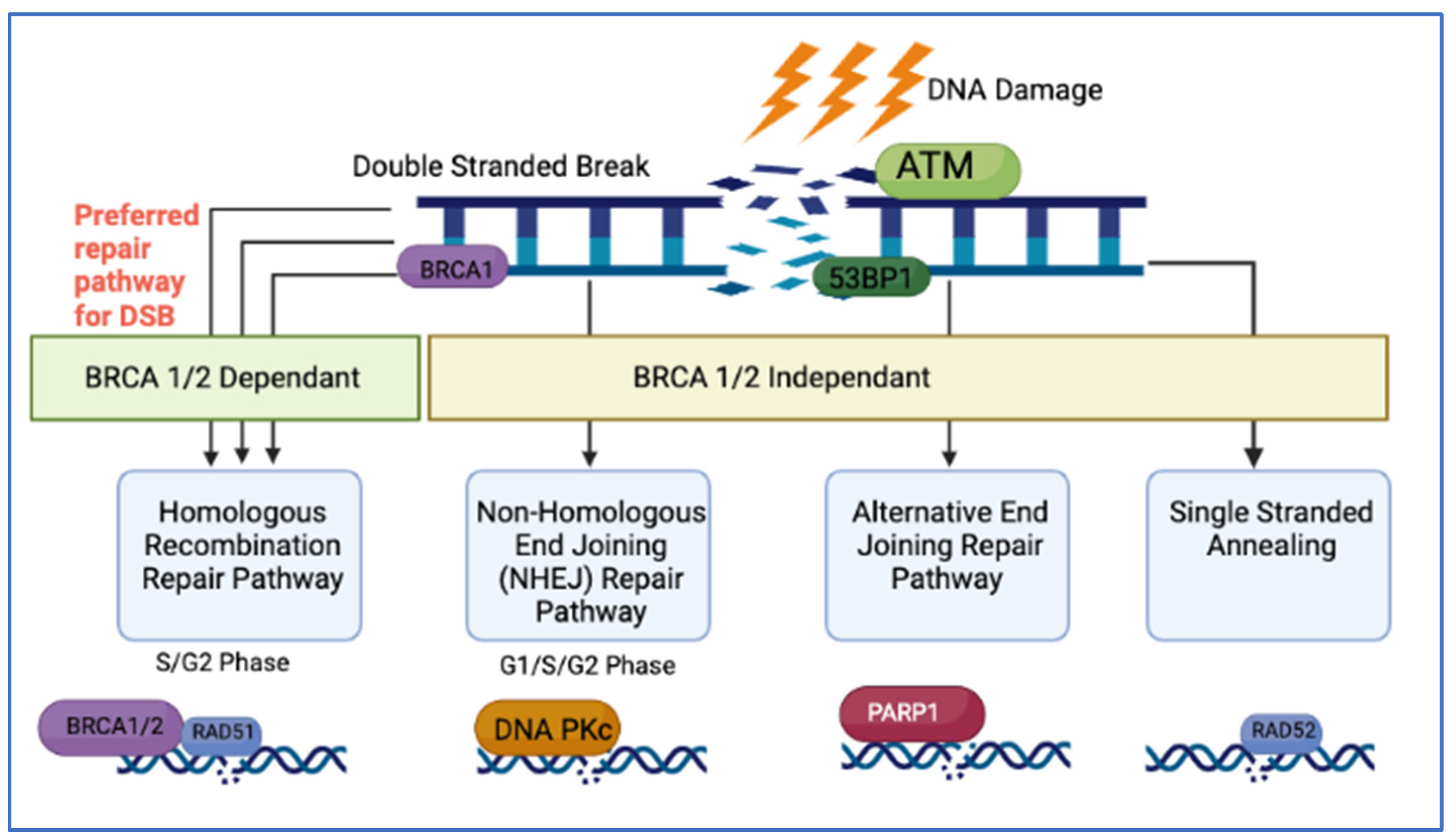Cancers 14 04751 g001