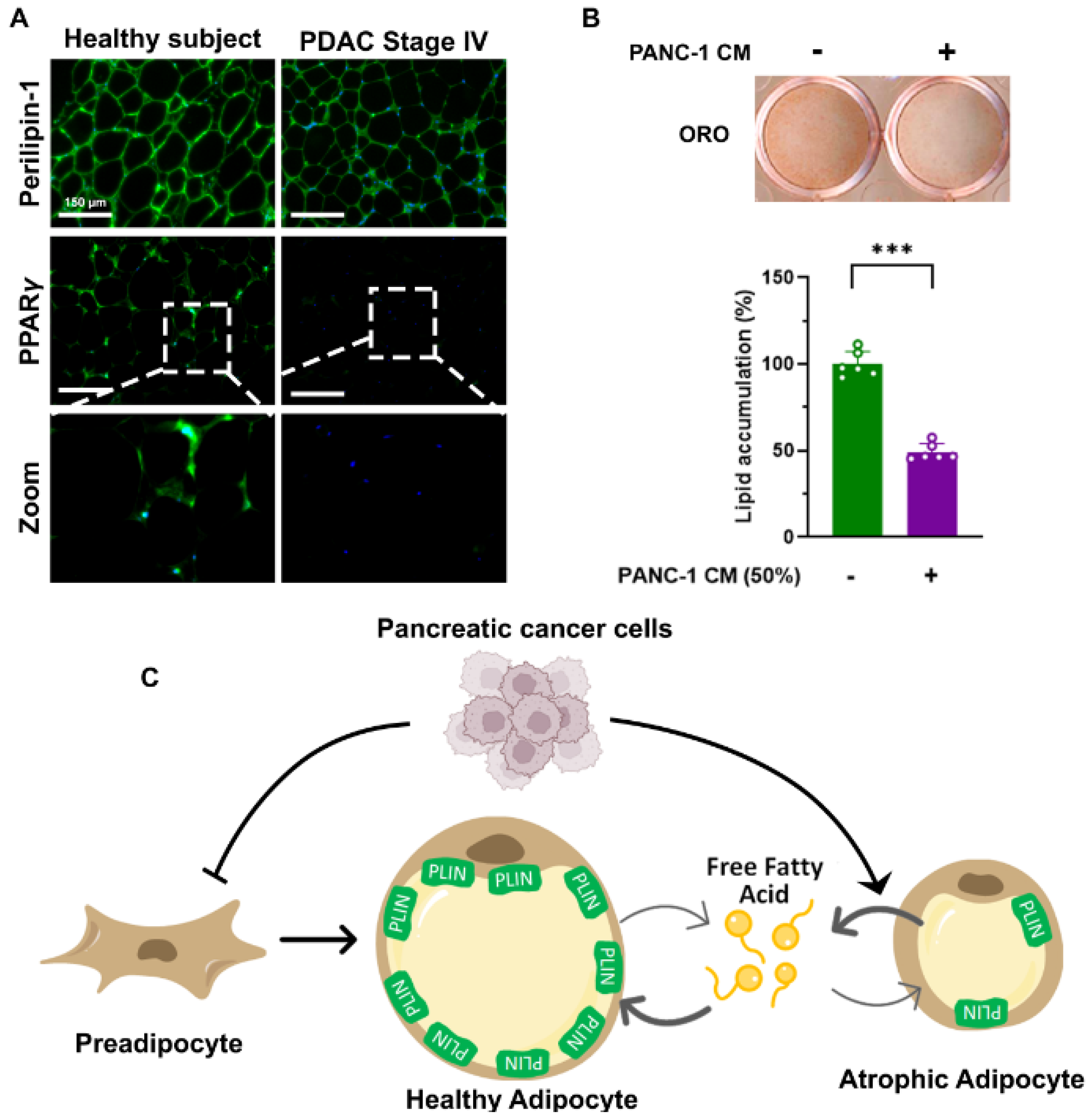 Cancers 14 04754 g002 Cancers 14 04754 g002