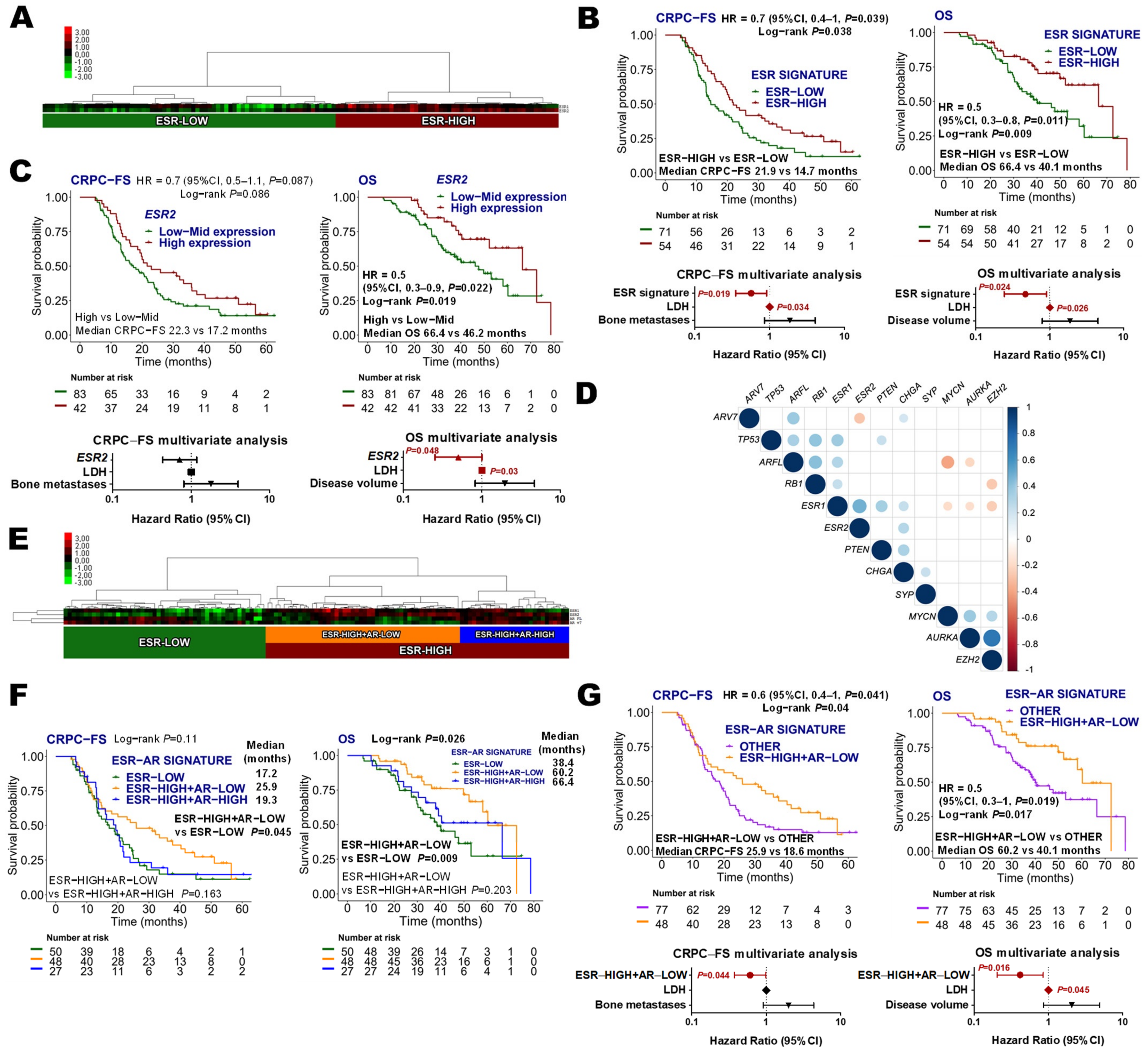 Cancers 14 04757 g003