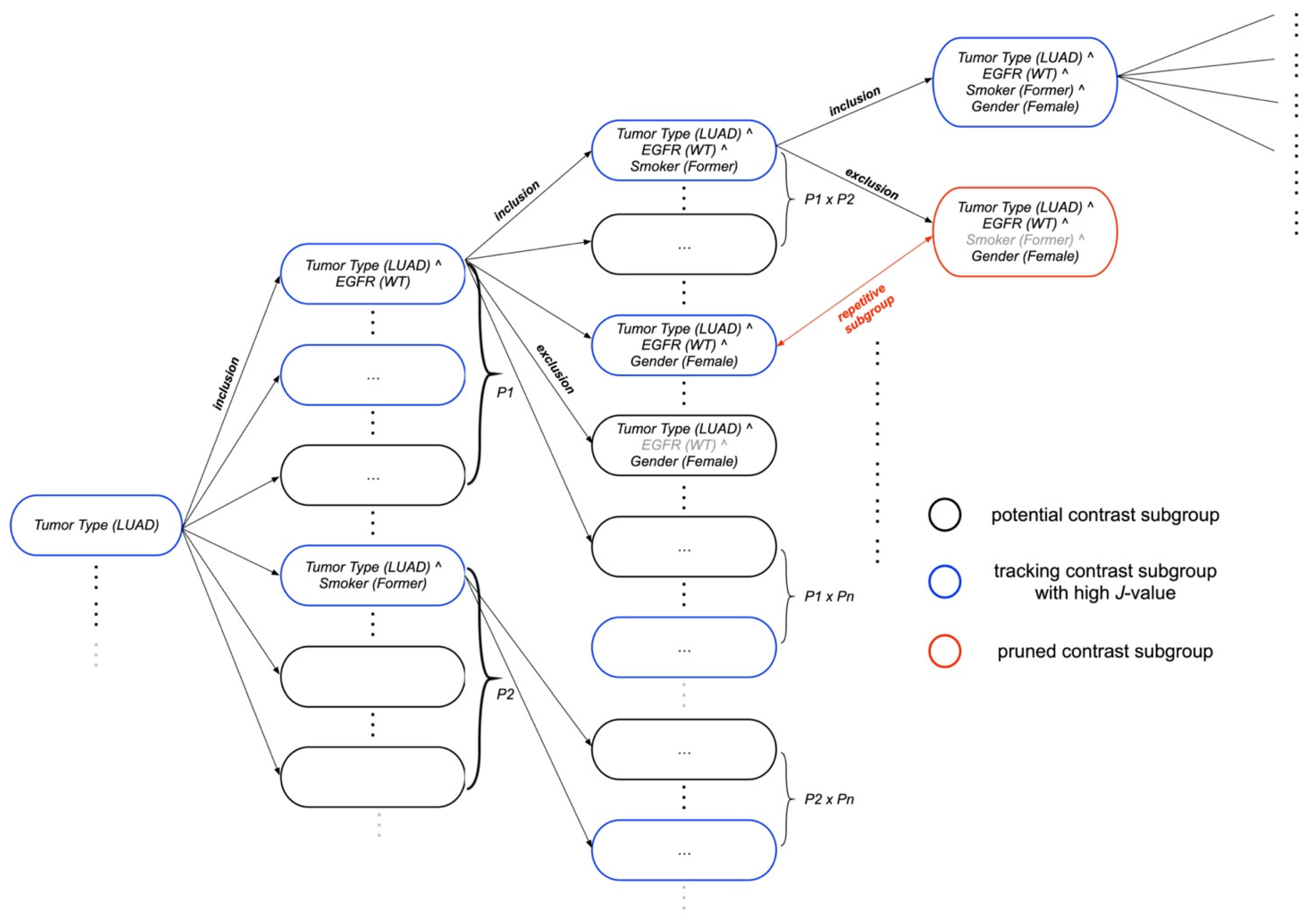 Cancers 14 04759 g001