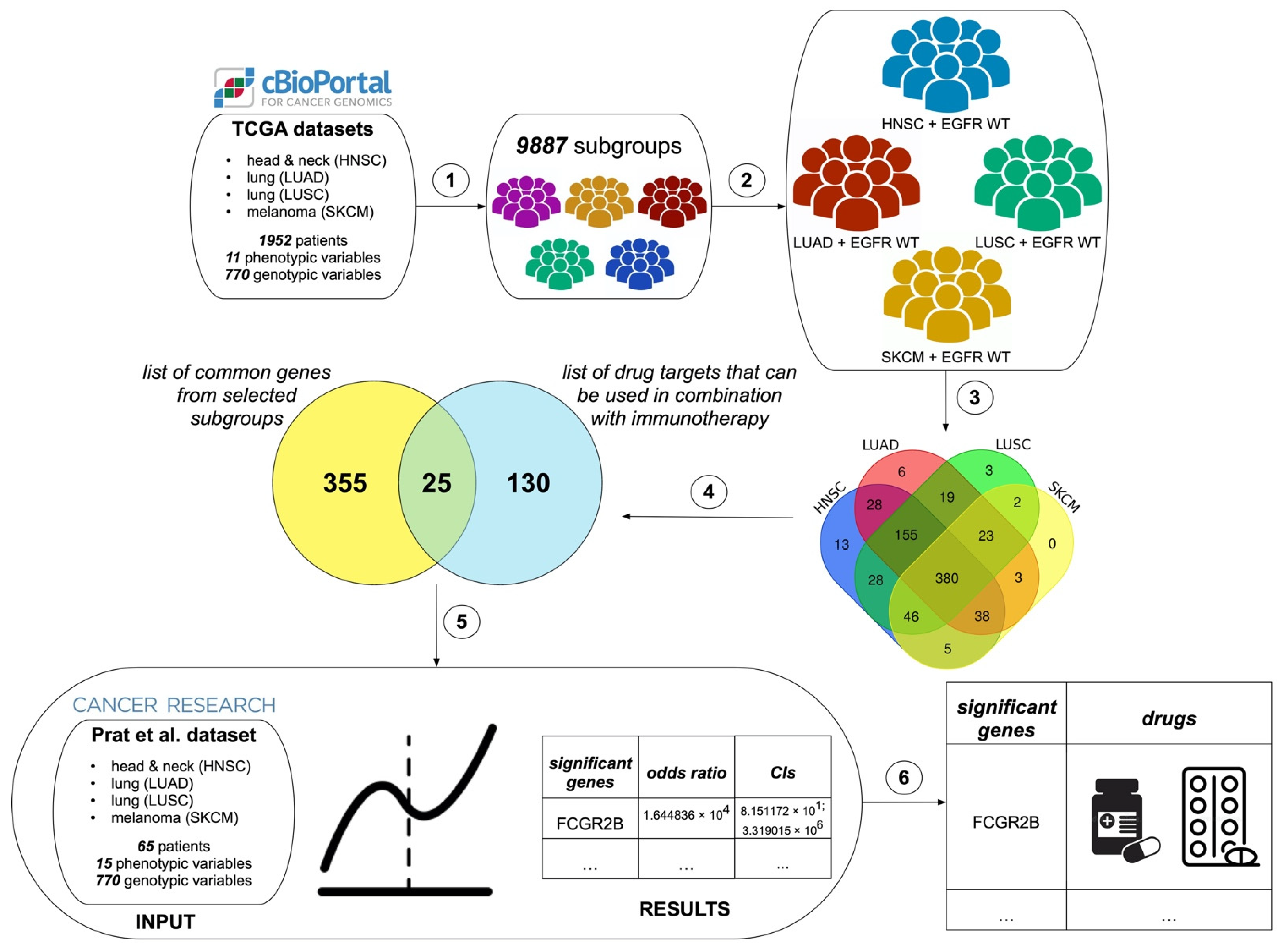 Cancers 14 04759 g002