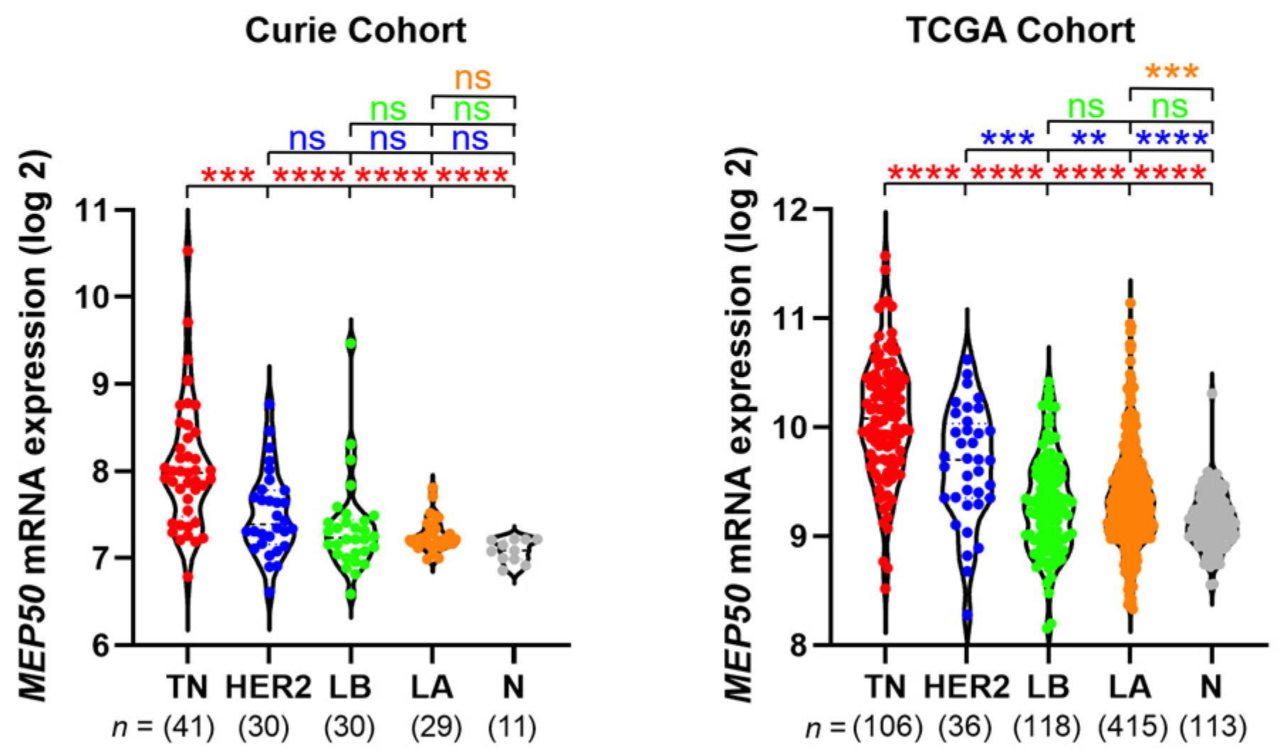 Expression, Localization and Prognosis Association of MEP50