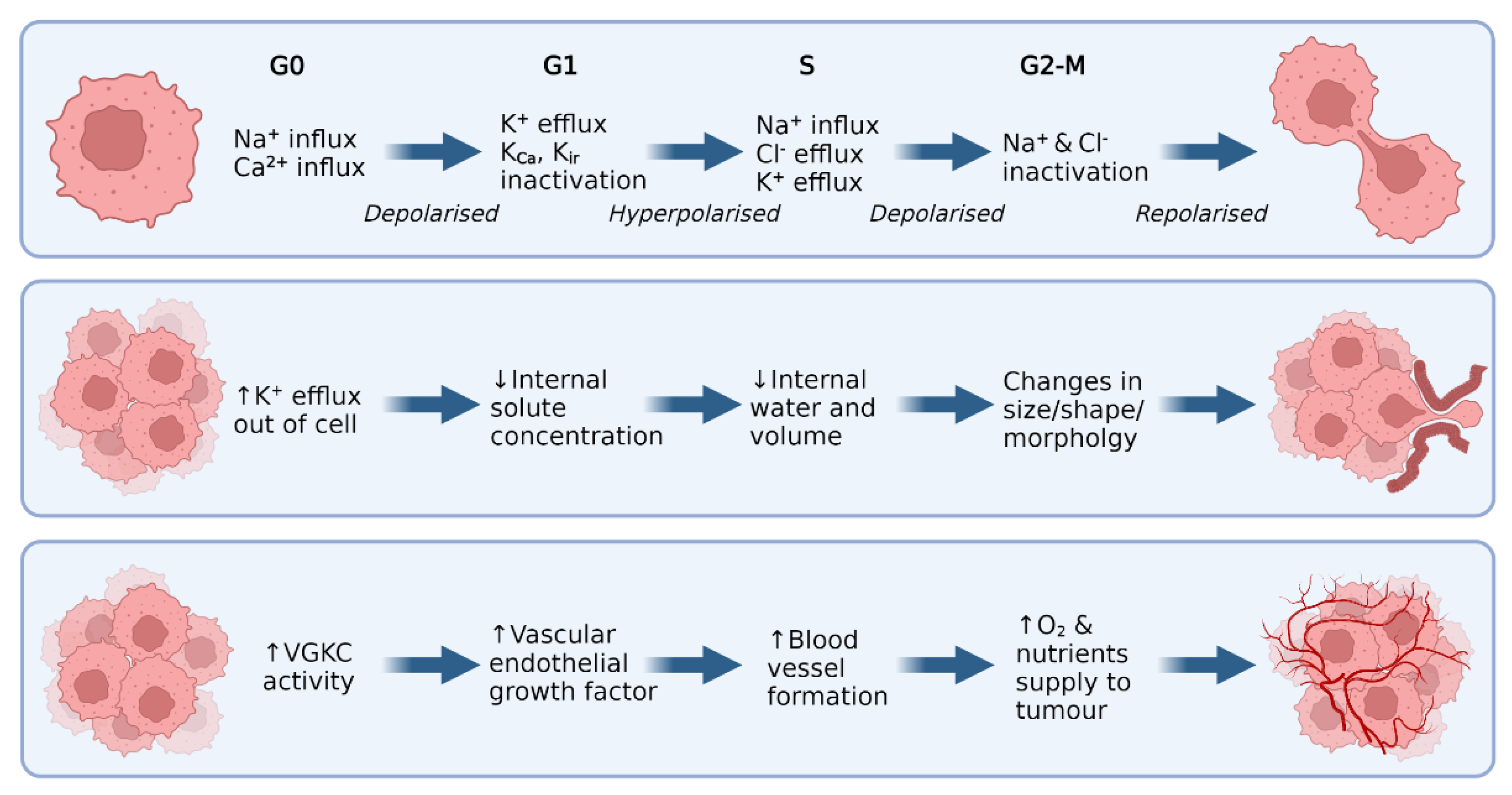 Cancers 14 04767 g002 Cancers 14 04767 g002