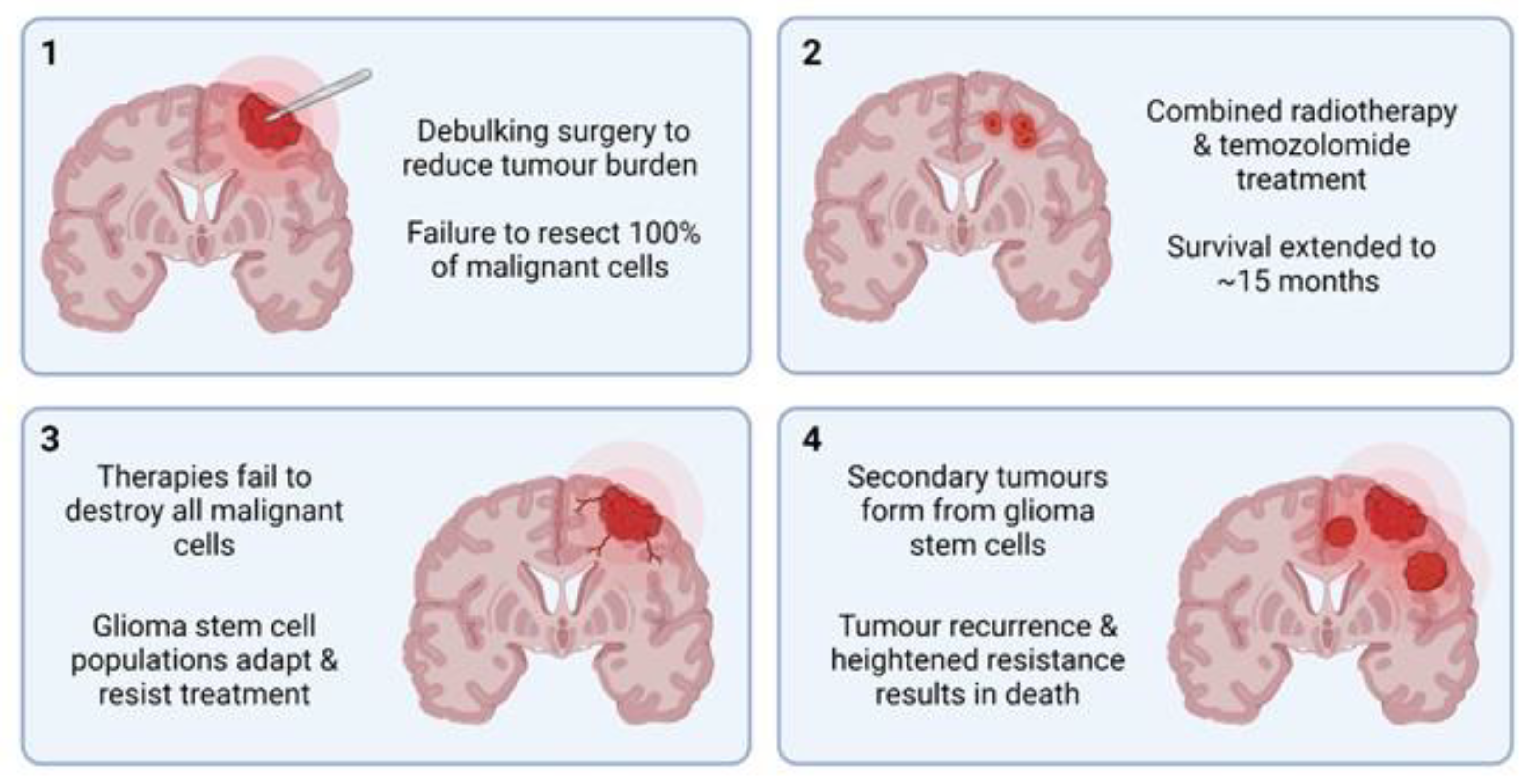 Cancers 14 04767 g003 Cancers 14 04767 g003