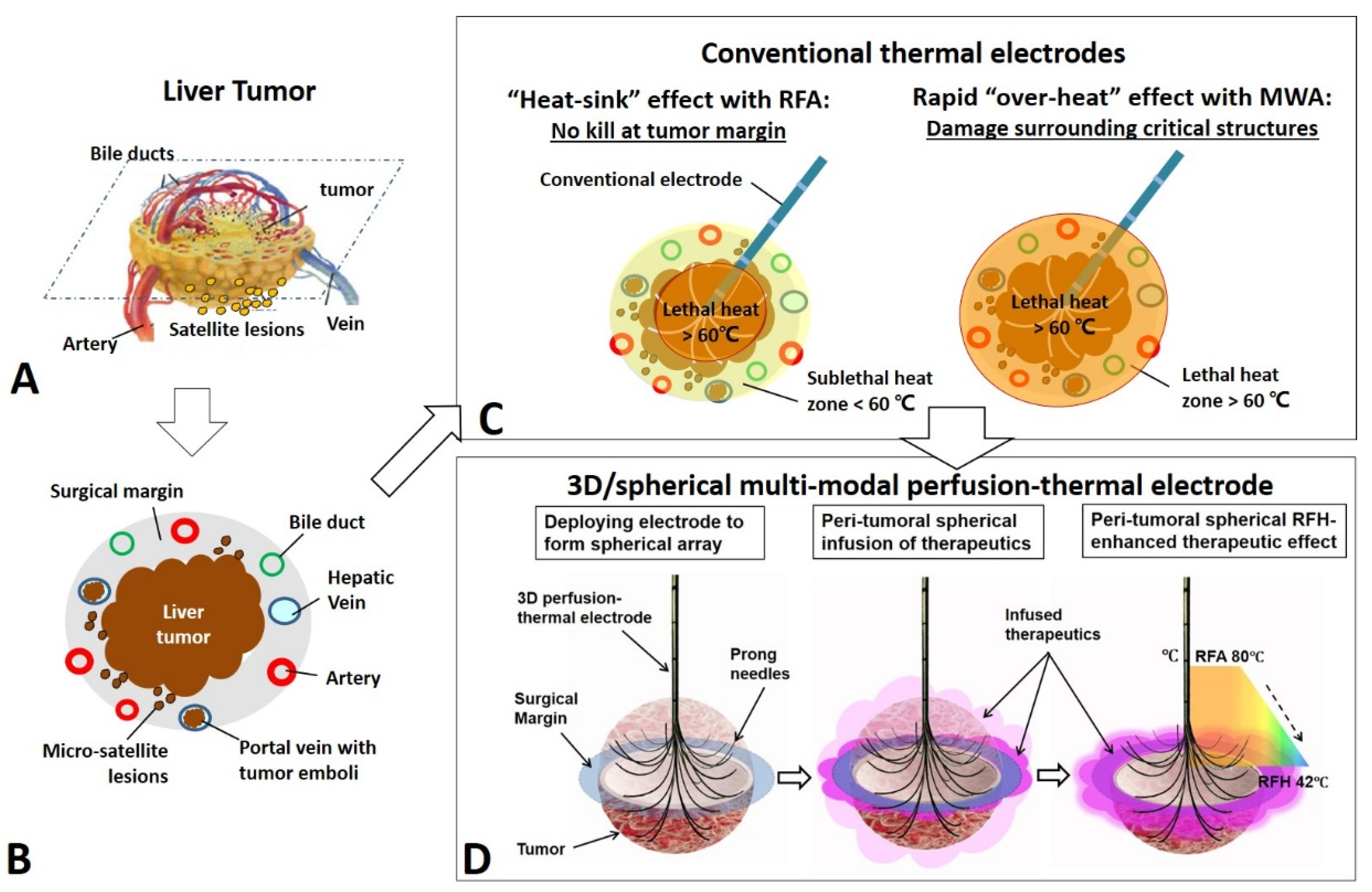 Cancers 14 04768 g001
