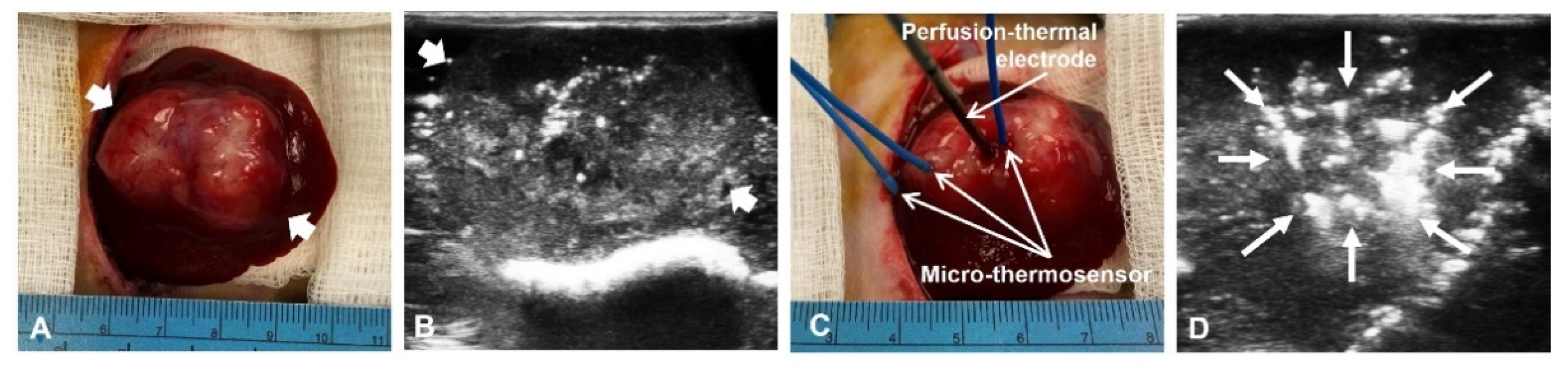 Cancers 14 04768 g003