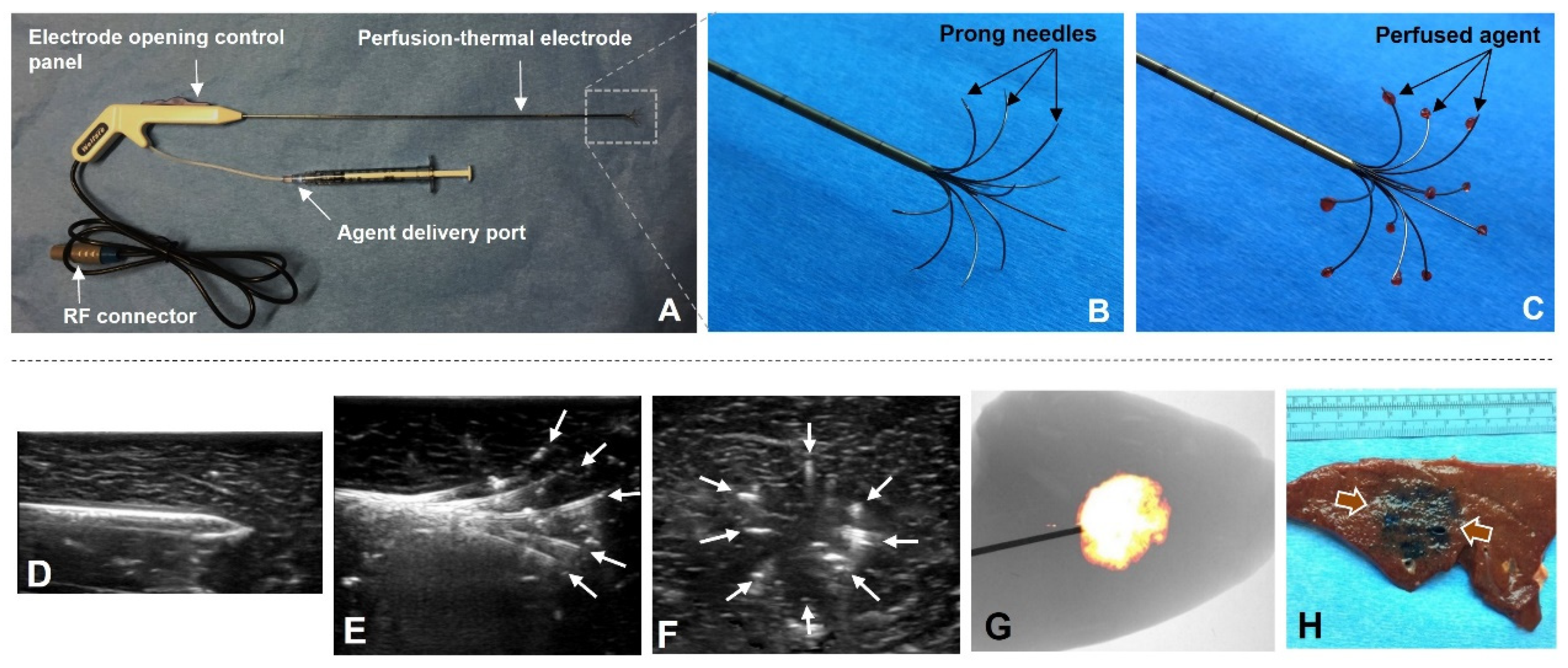 Cancers 14 04768 g004