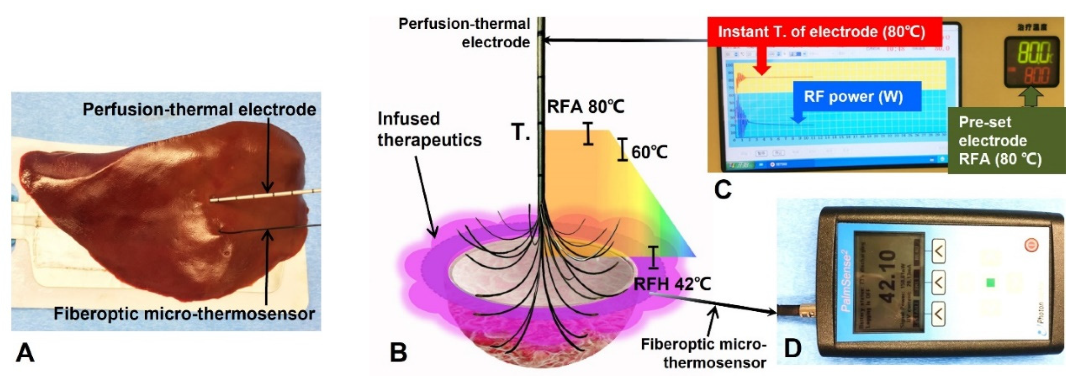 Cancers 14 04768 g005