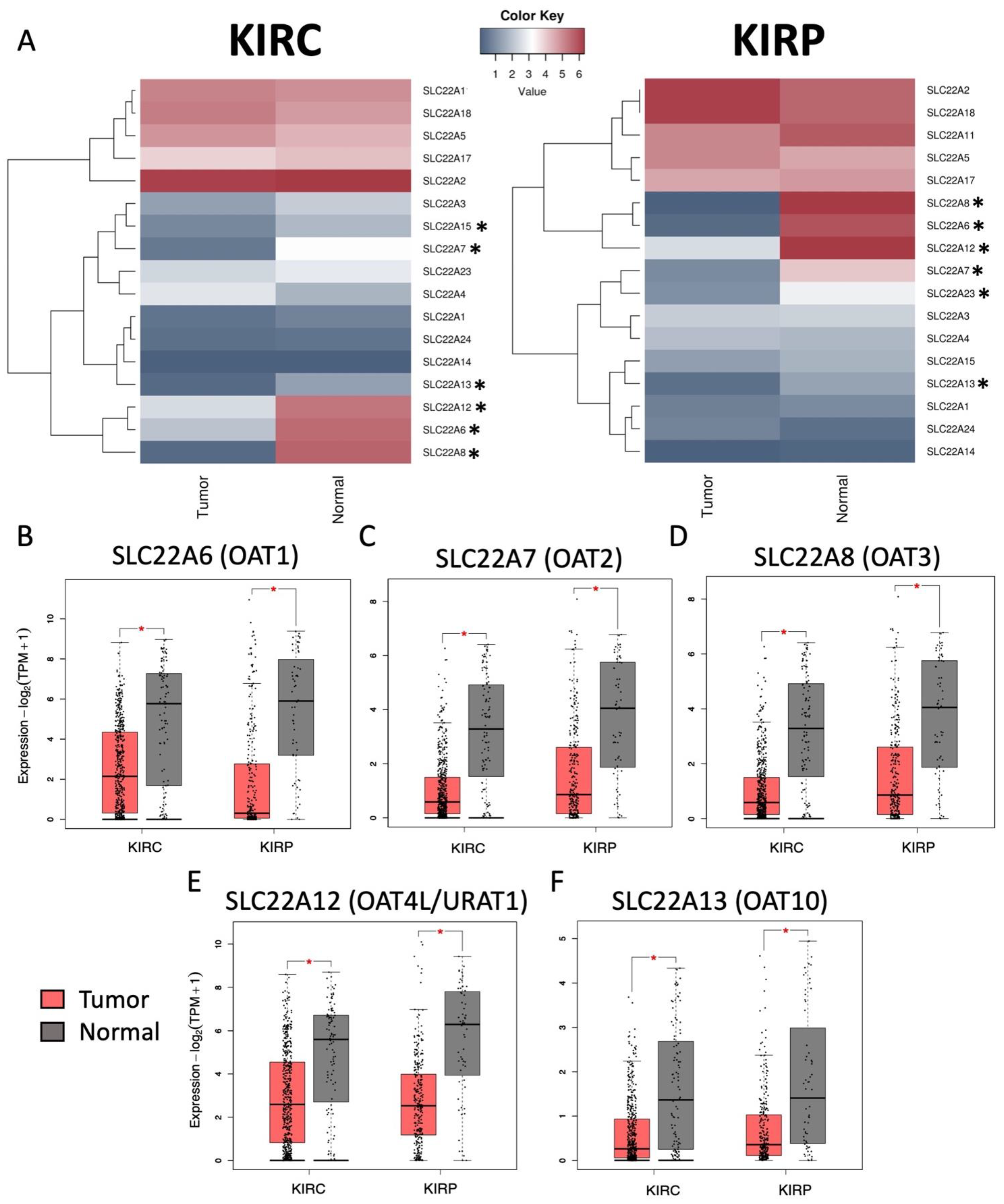 Cancers 14 04772 g001 Cancers 14 04772 g001