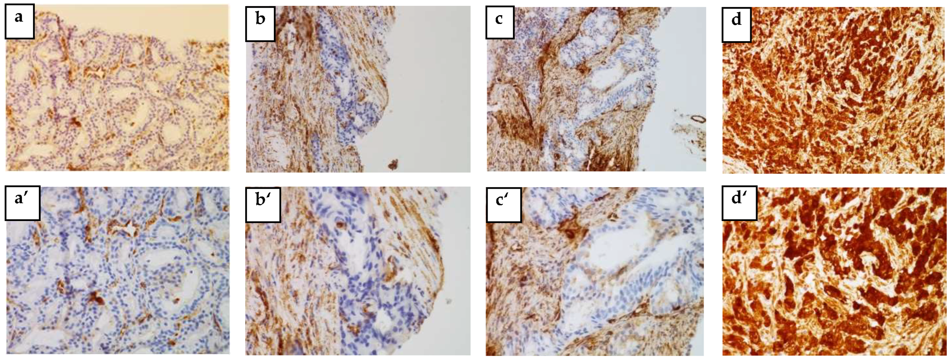 Cancers 14 04773 g002