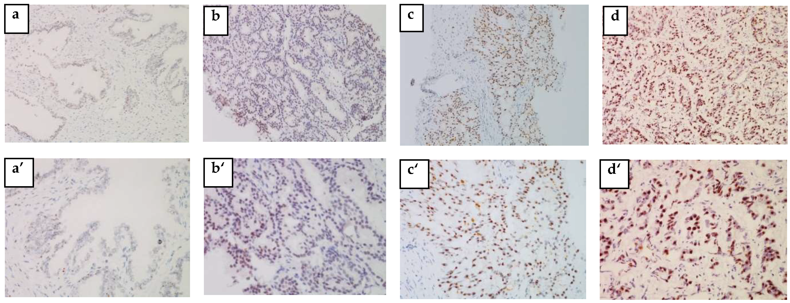 Cancers 14 04773 g003