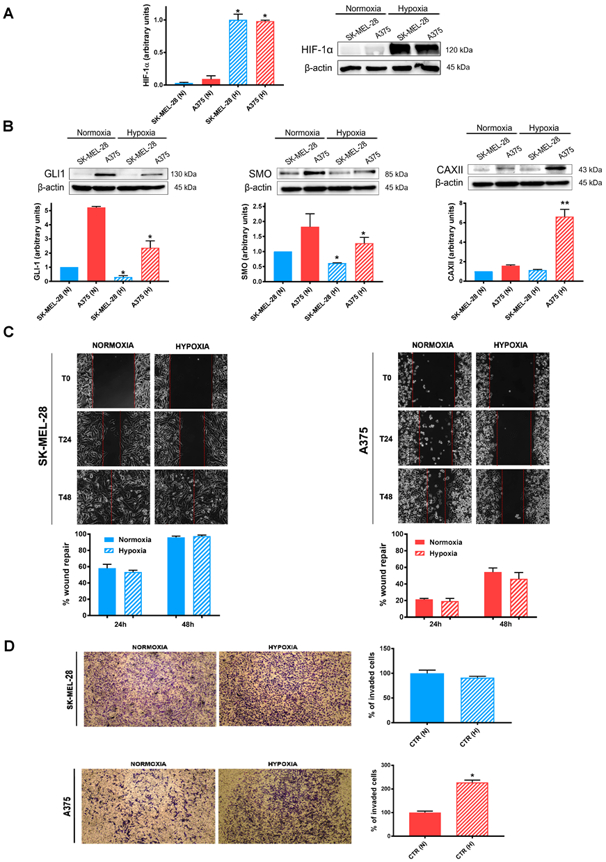 Cancers 14 04776 g001 Cancers 14 04776 g001