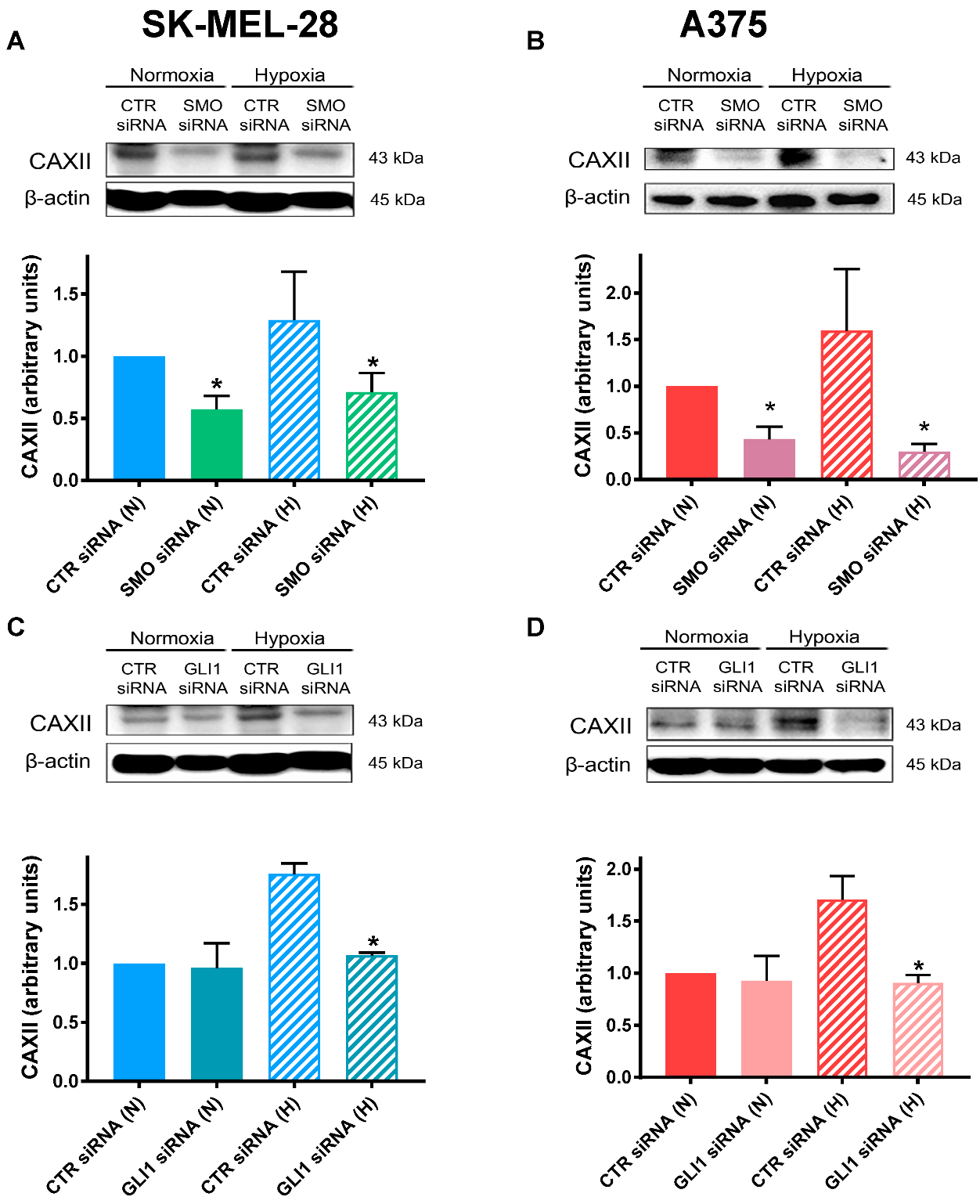 Cancers 14 04776 g004 Cancers 14 04776 g004