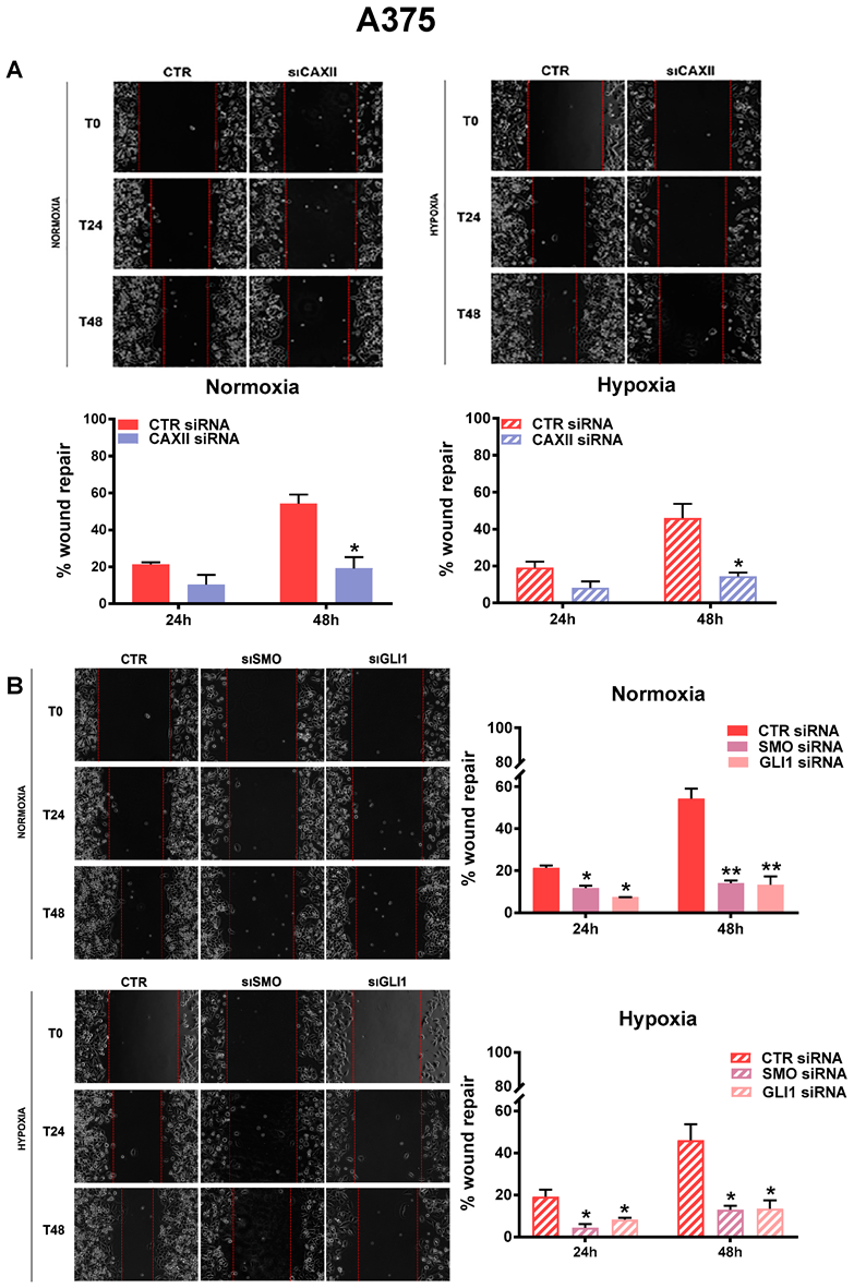 Cancers 14 04776 g006 Cancers 14 04776 g006