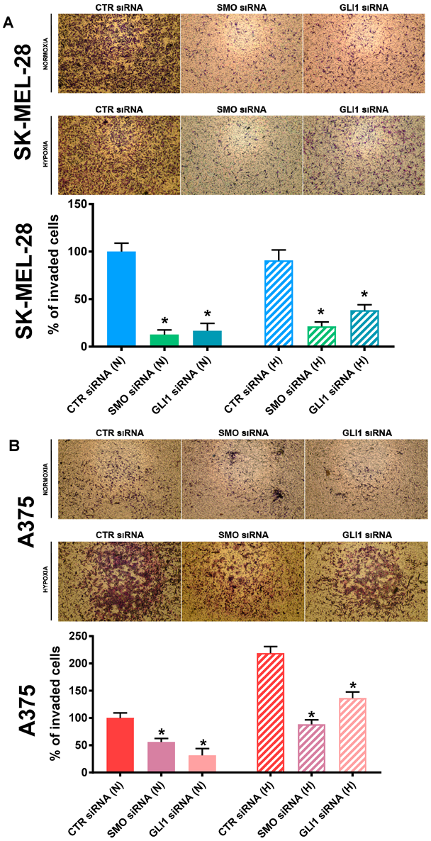 Cancers 14 04776 g007 Cancers 14 04776 g007