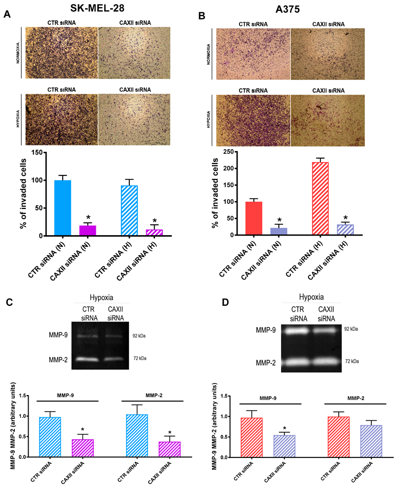 Cancers 14 04776 g008 Cancers 14 04776 g008