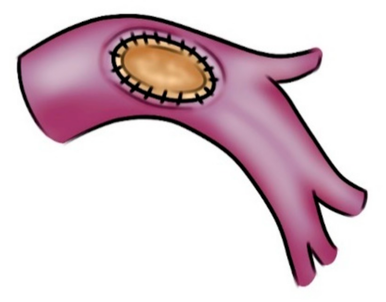 Cancers 14 04782 g002