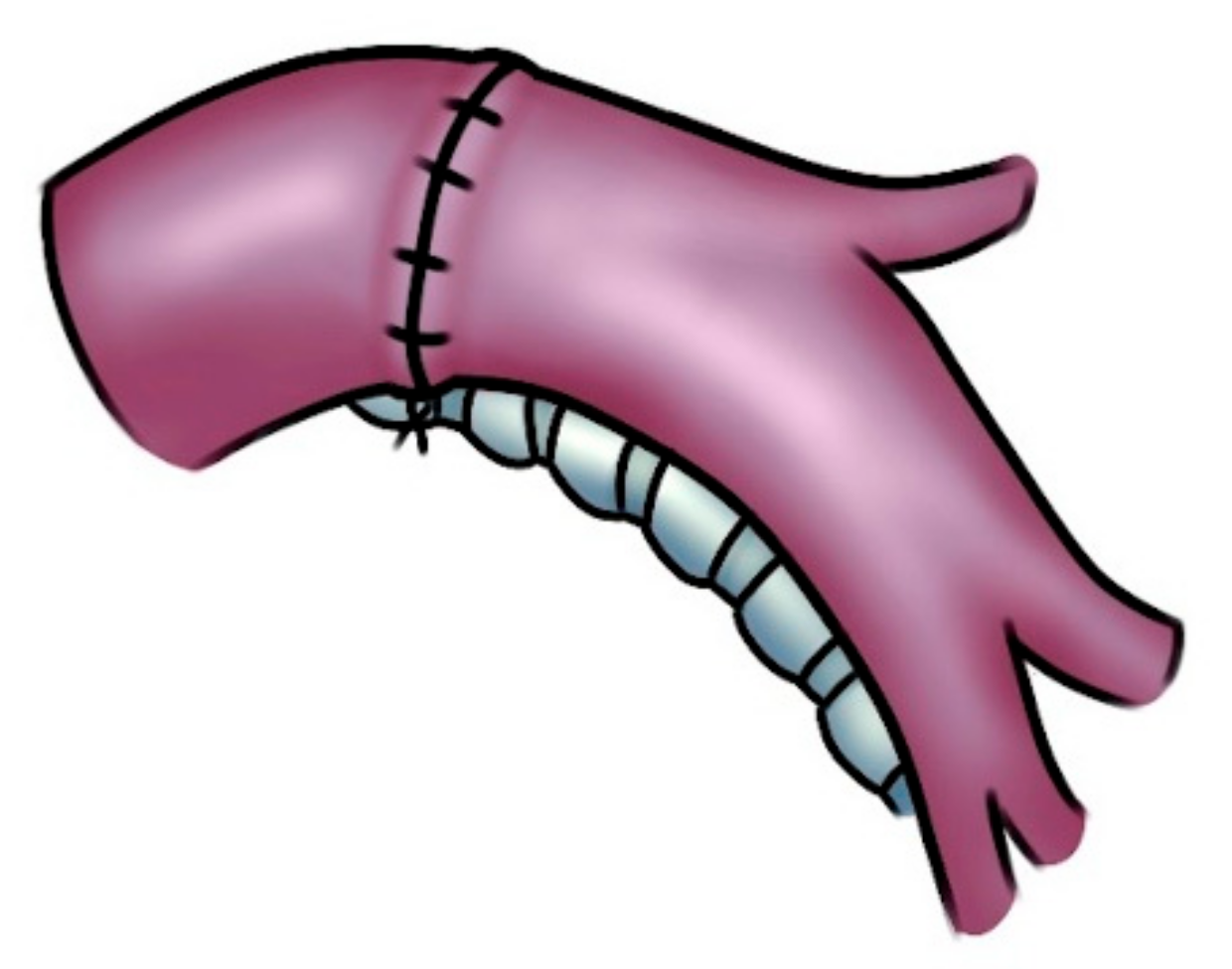 Cancers 14 04782 g004