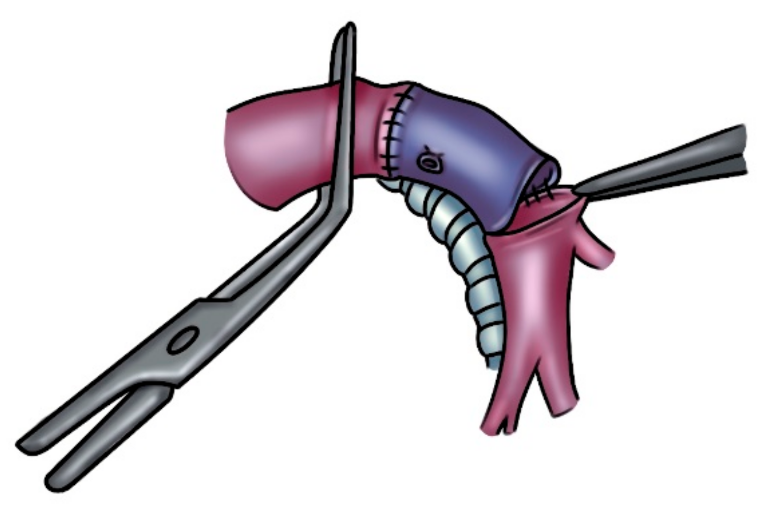 Cancers 14 04782 g006