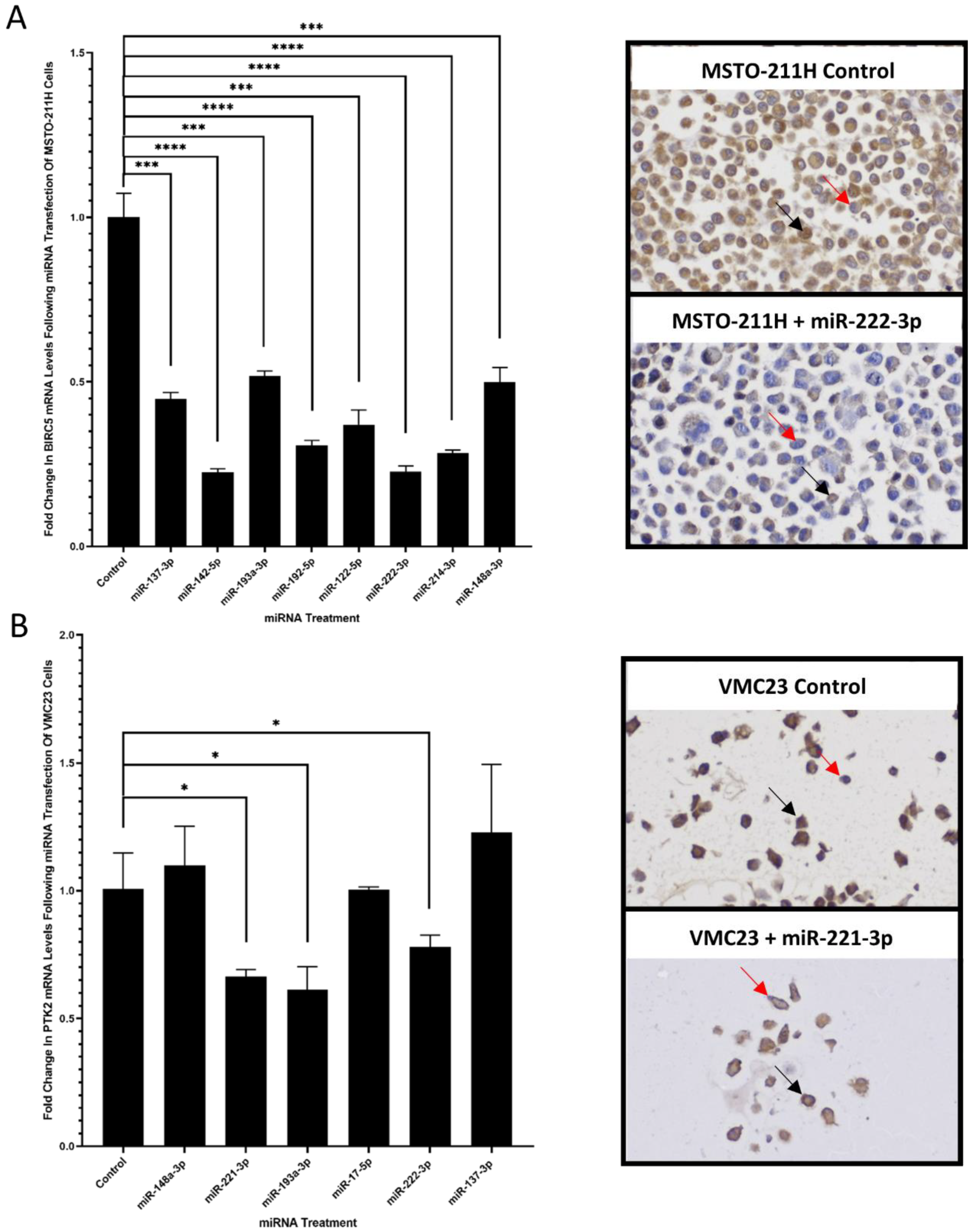 Cancers 14 04784 g002 Cancers 14 04784 g002