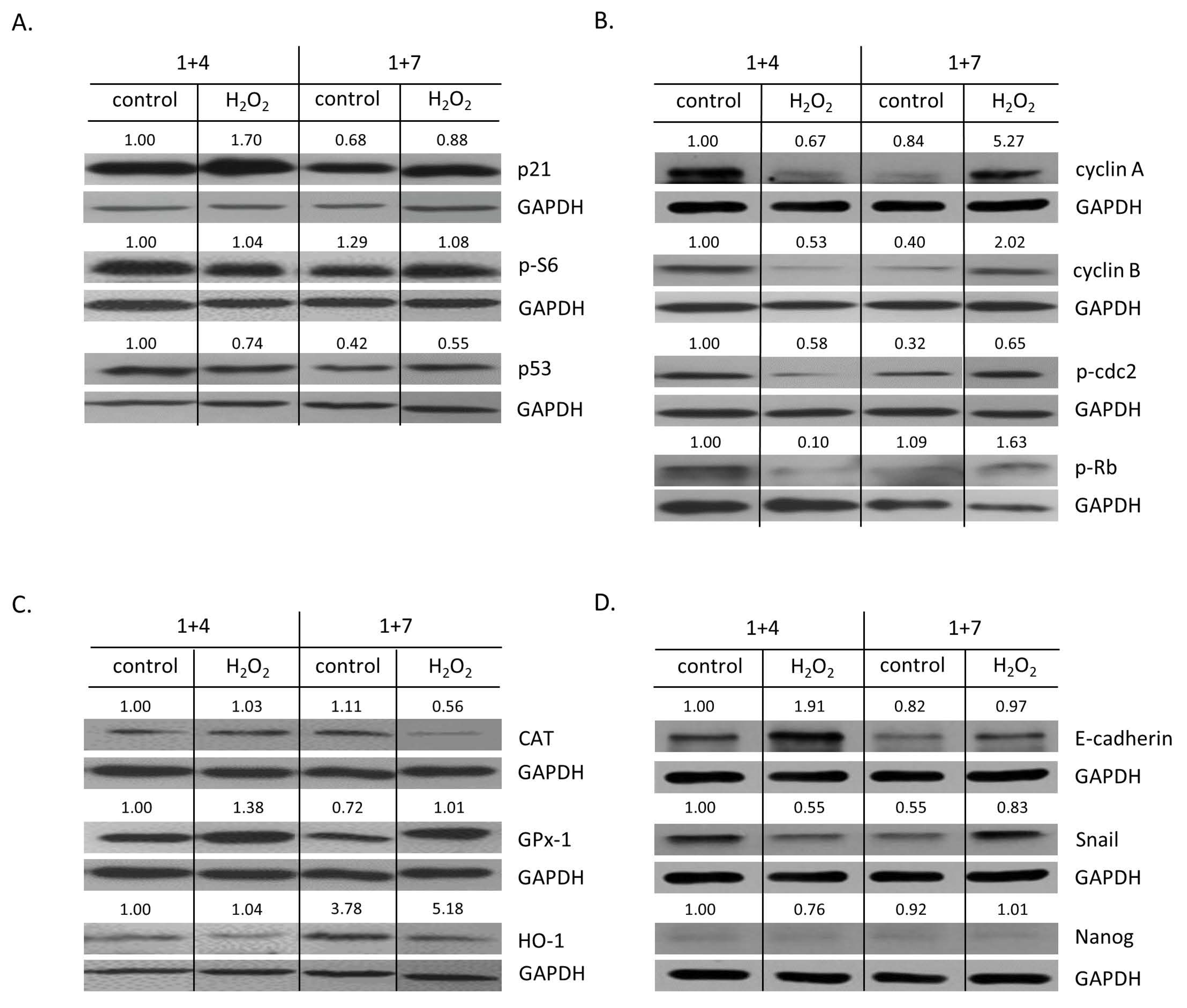 Cancers 14 04793 g005 Cancers 14 04793 g005