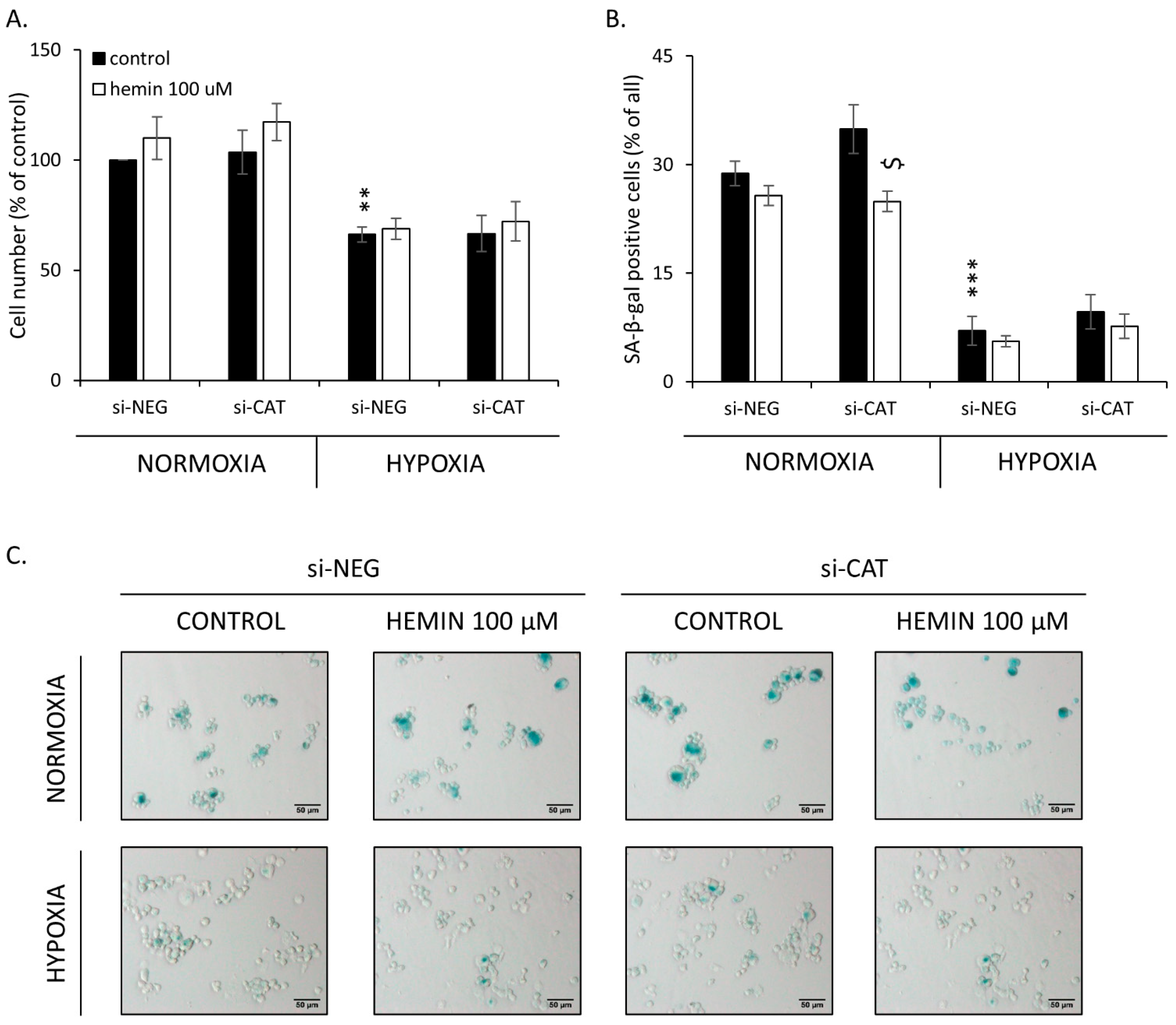 Cancers 14 04793 g008 Cancers 14 04793 g008