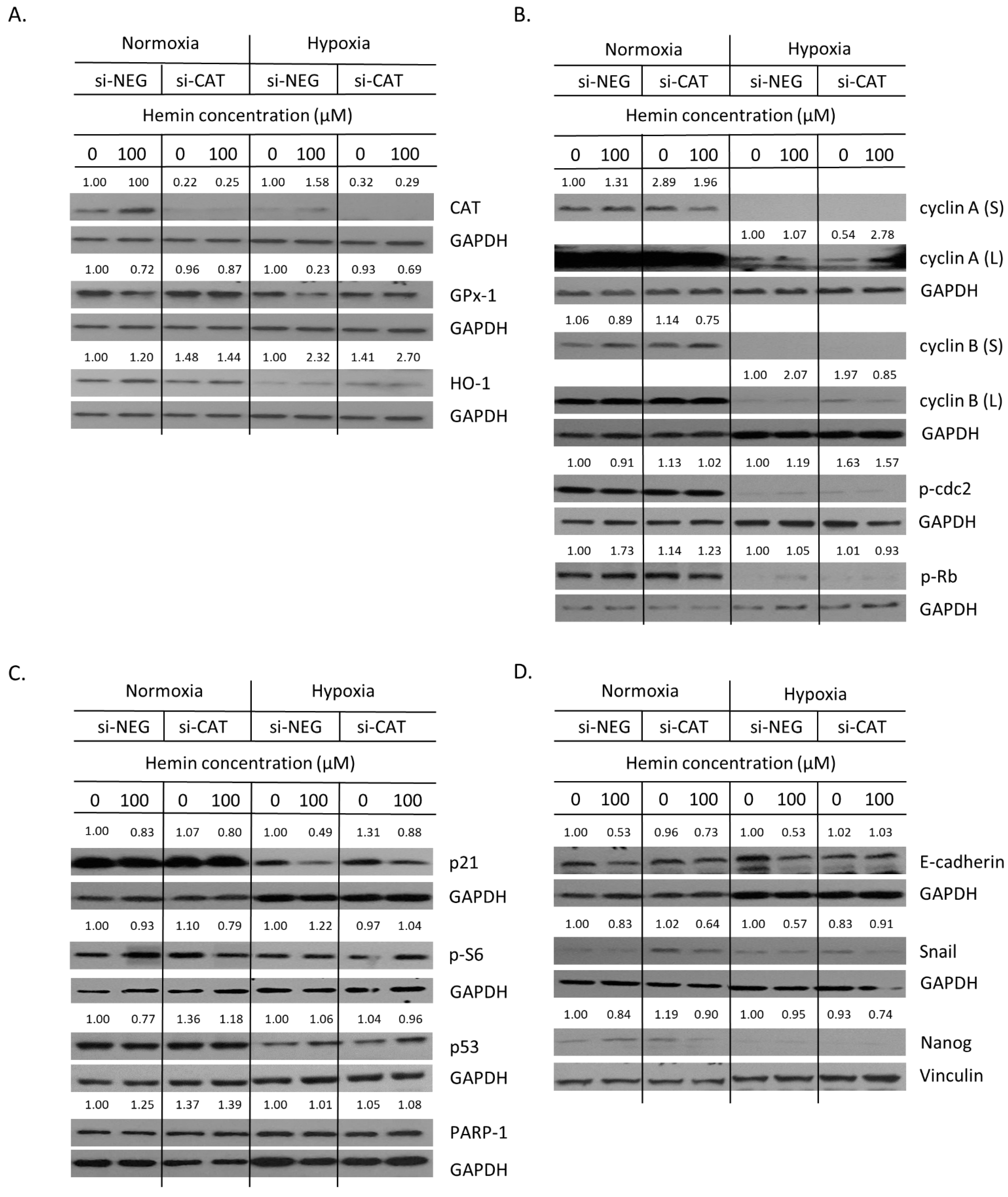 Cancers 14 04793 g009 Cancers 14 04793 g009