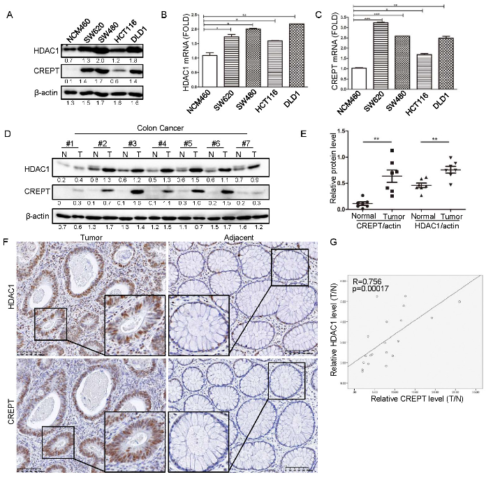 Cancers 14 04797 g001 Cancers 14 04797 g001